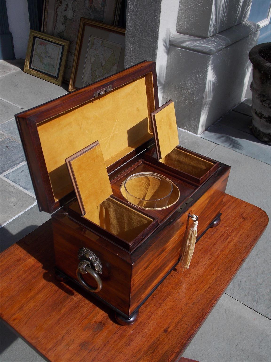 English Calamander Hinged Tea Caddy with Flanking Brass Floral Handles, C. 1800 For Sale 2