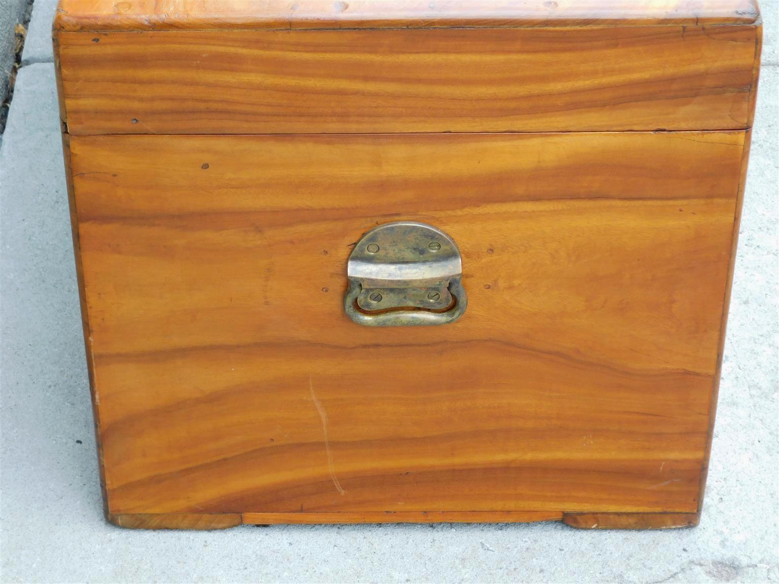 English Campaign Camphor Wood Hinged Trunk with Orig. Brass Side Handles, C 1820 For Sale 5
