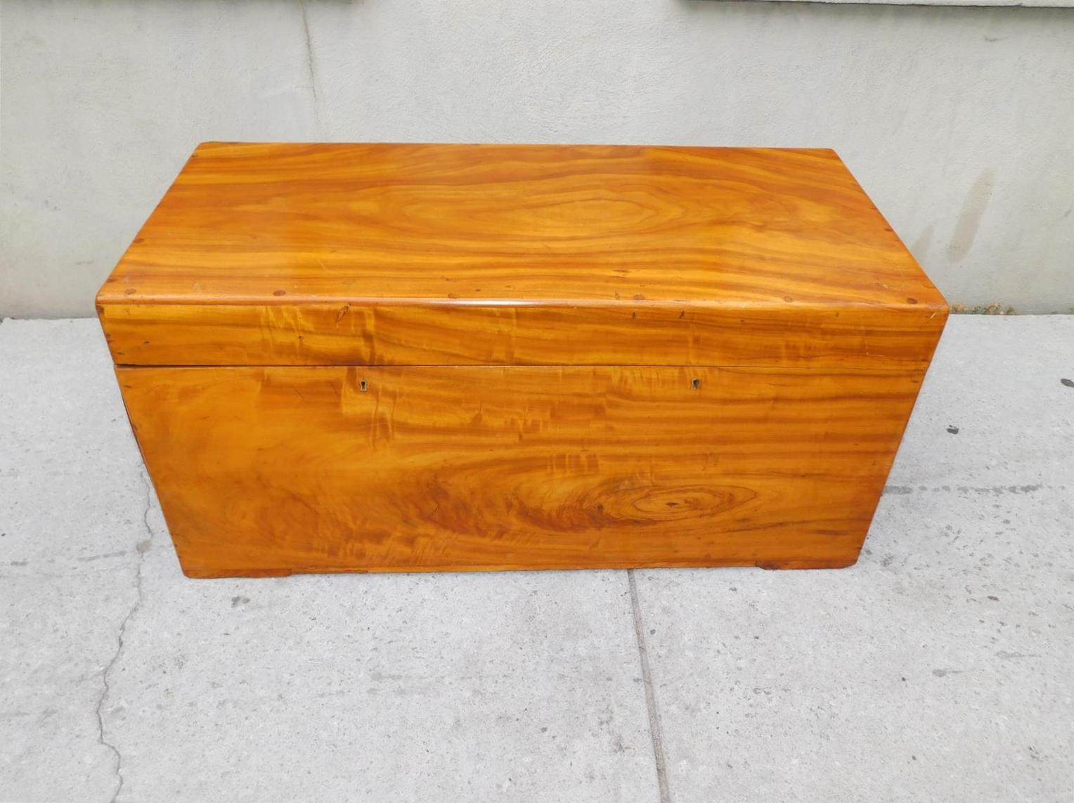 English Campaign Camphor Wood Hinged Trunk with Orig. Brass Side Handles, C 1820 In Excellent Condition For Sale In Charleston, SC