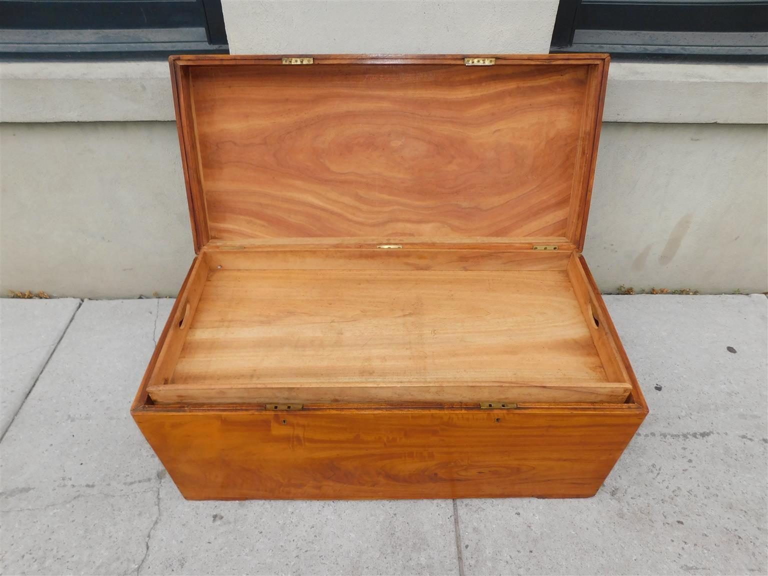 English Campaign Camphor Wood Hinged Trunk with Orig. Brass Side Handles, C 1820 For Sale 1