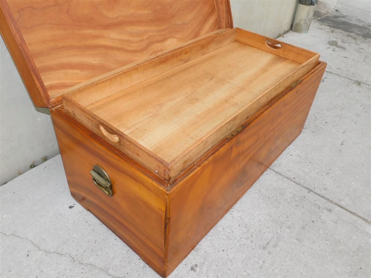 English Campaign Camphor Wood Hinged Trunk with Orig. Brass Side Handles, C 1820 For Sale 2