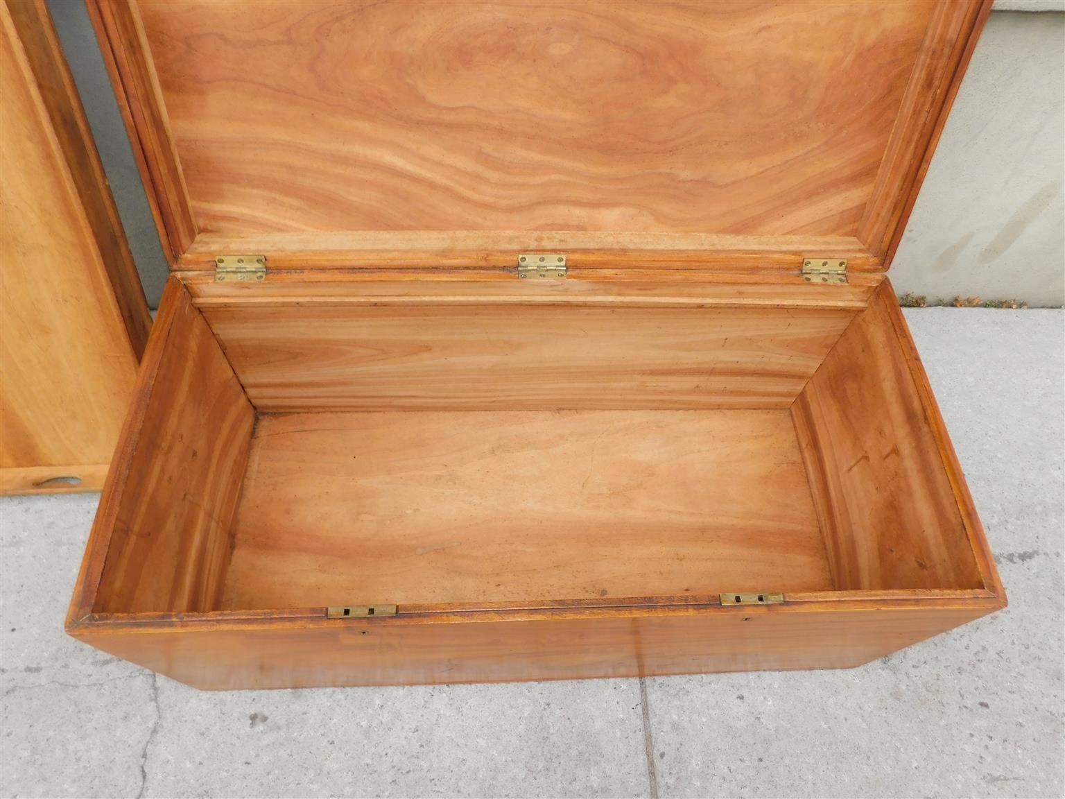 English Campaign Camphor Wood Hinged Trunk with Orig. Brass Side Handles, C 1820 For Sale 3