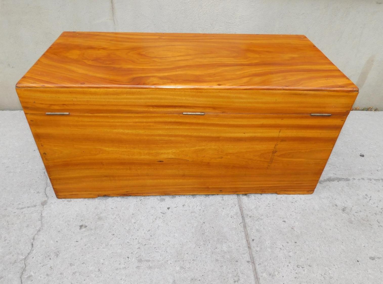 English Campaign Camphor Wood Hinged Trunk with Orig. Brass Side Handles, C 1820 For Sale 4
