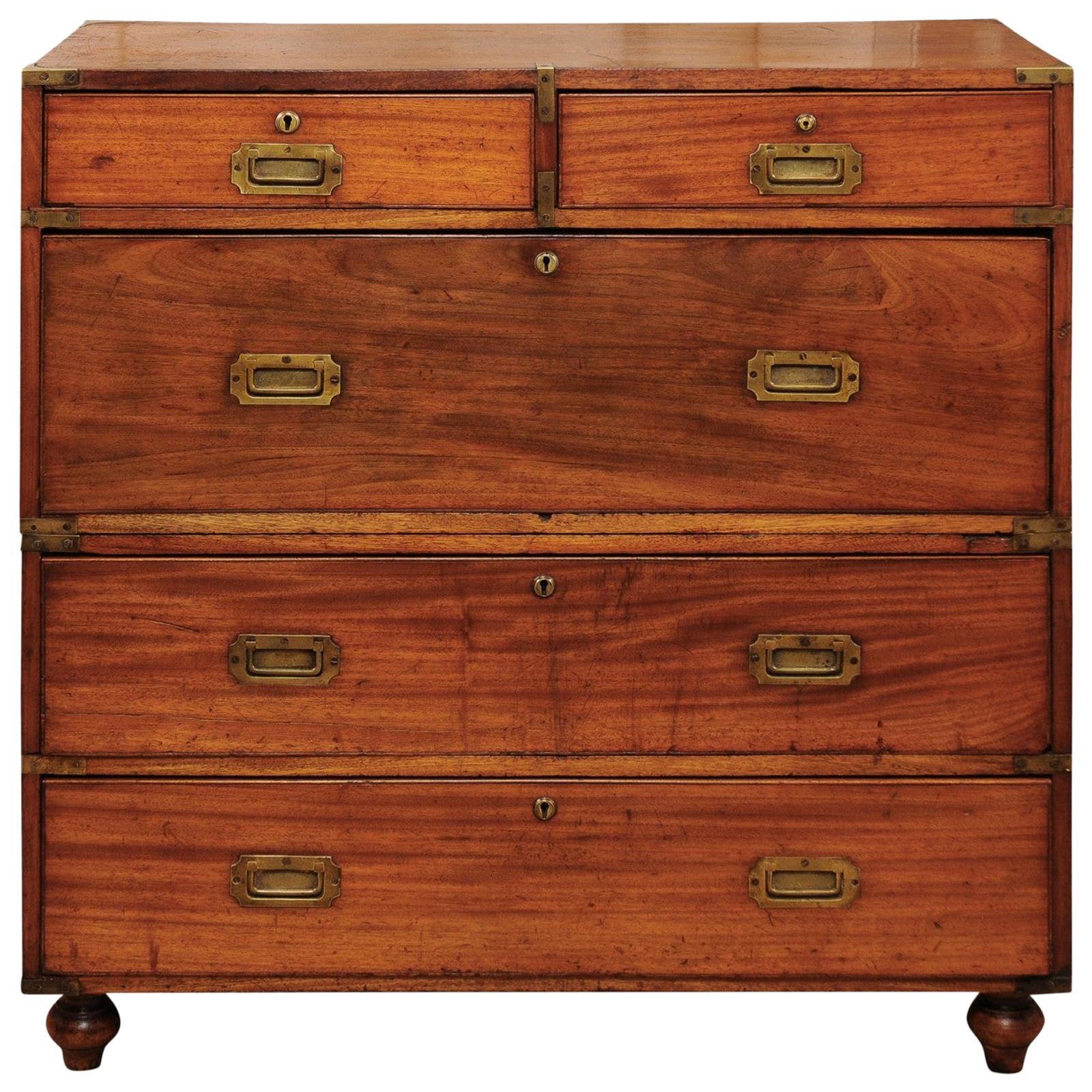 English Campaign Chest in Camphor Wood, Late 19th Century