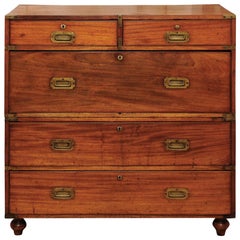 English Campaign Chest in Camphor Wood, Late 19th Century