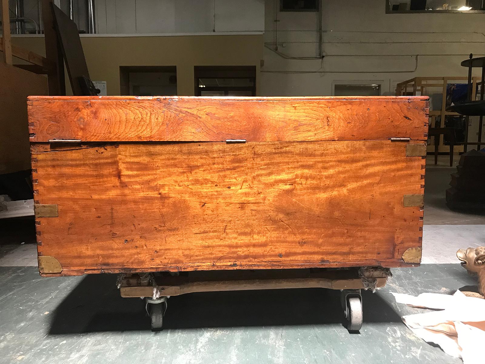 English Campaign Style Camphor Wood Trunk, circa 1840 For Sale 8