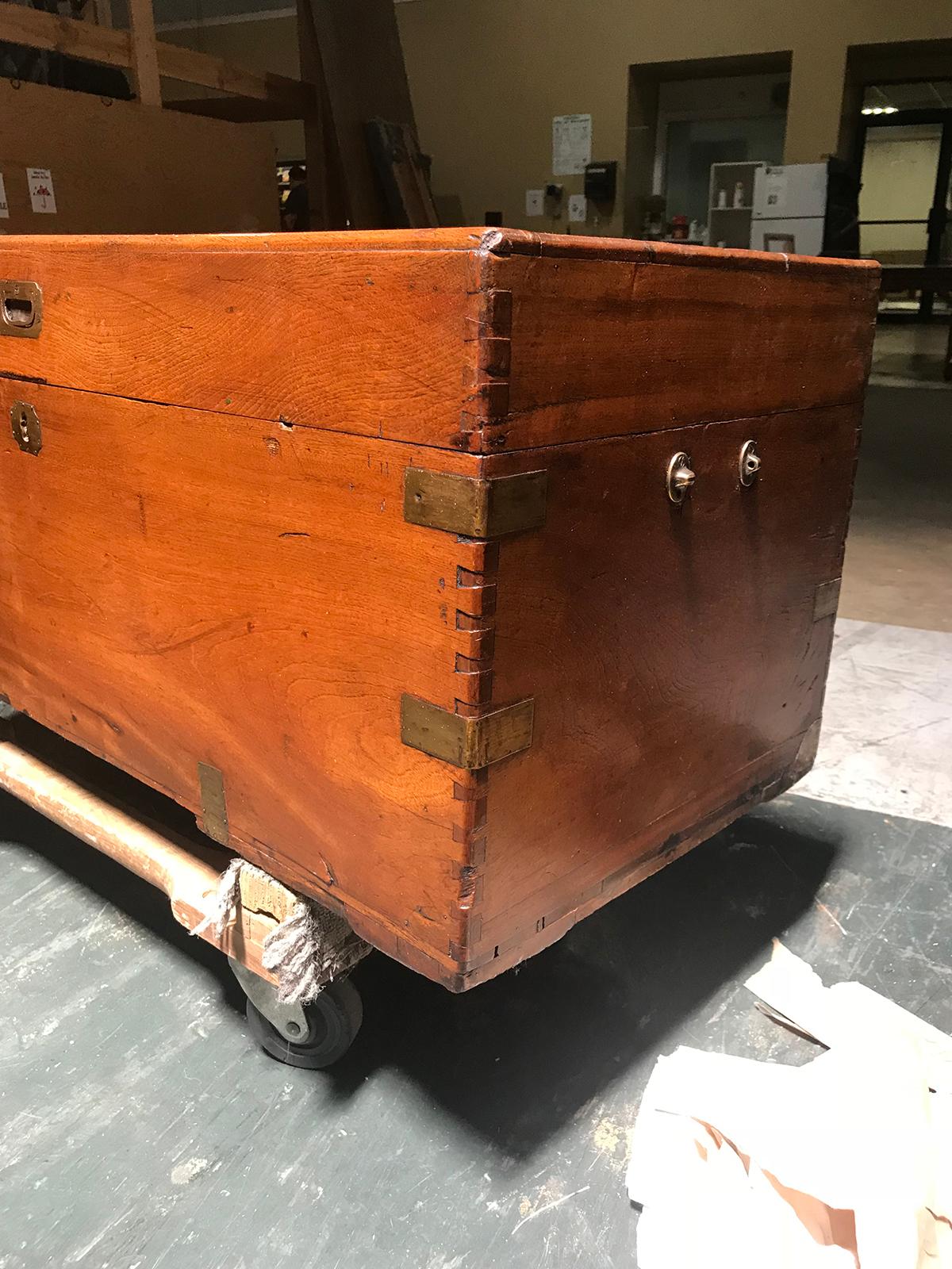 English Campaign Style Camphor Wood Trunk, circa 1840 For Sale 1