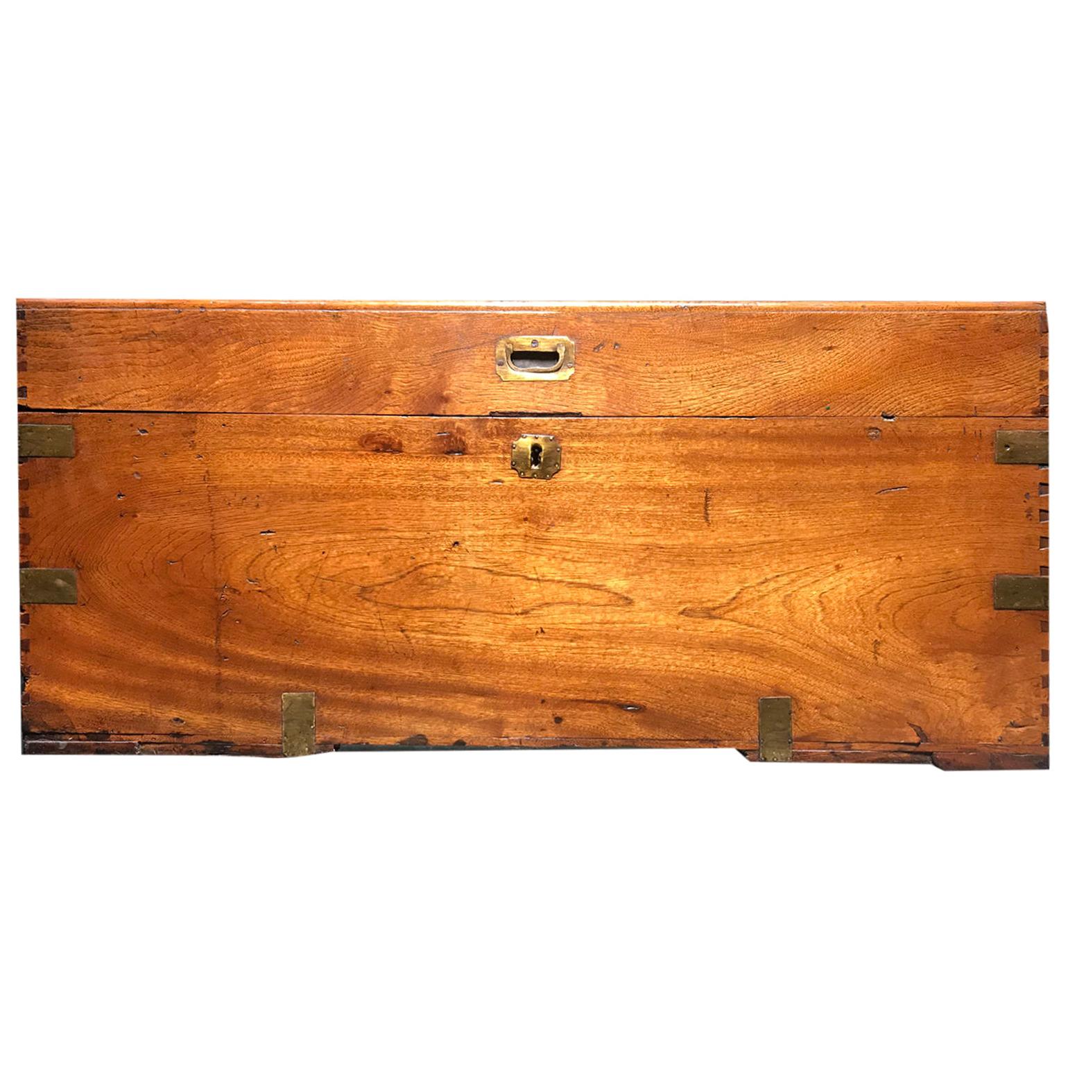 English Campaign Style Camphor Wood Trunk, circa 1840 For Sale
