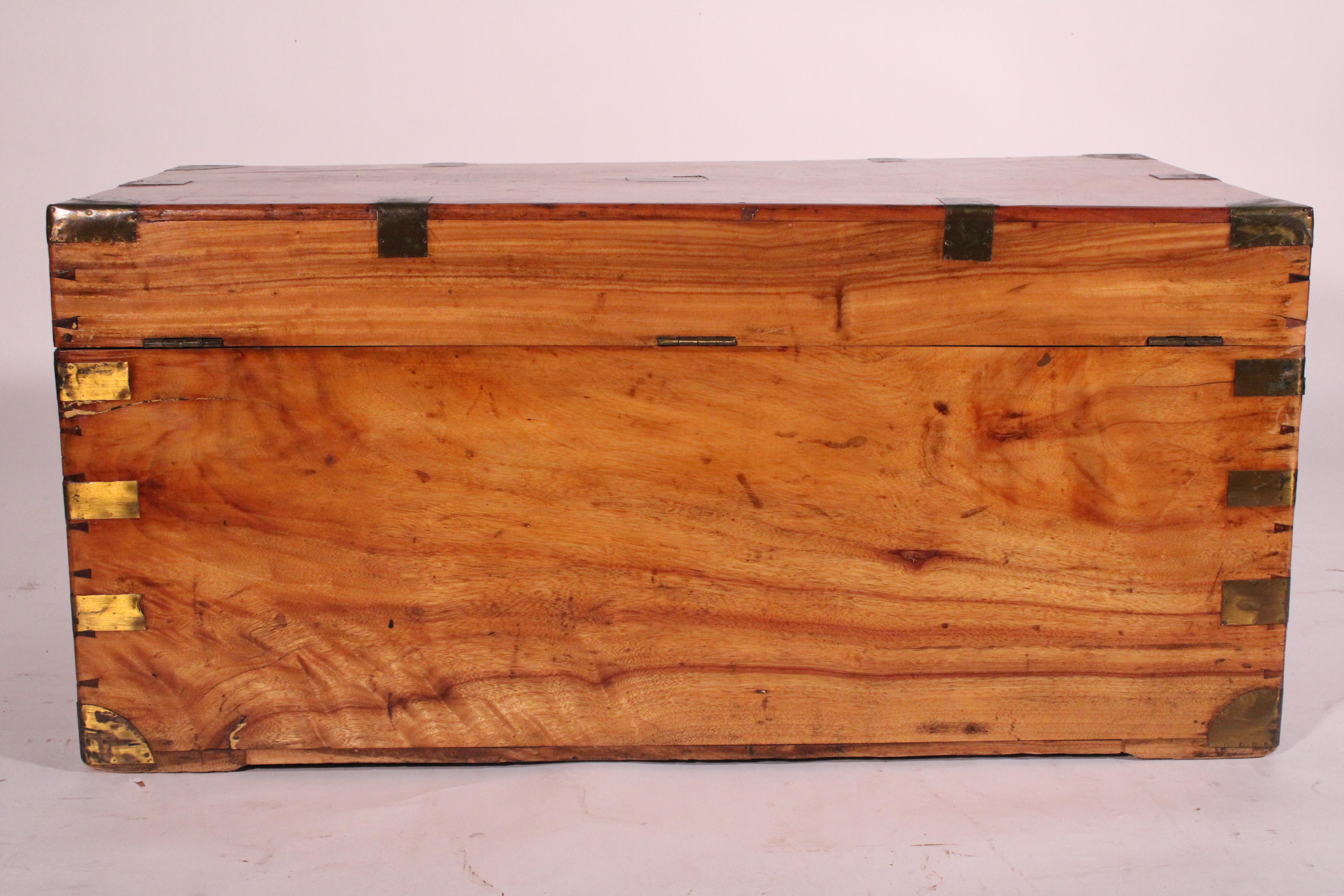 Ottone English Camphor Wood Campaign Trunk in vendita