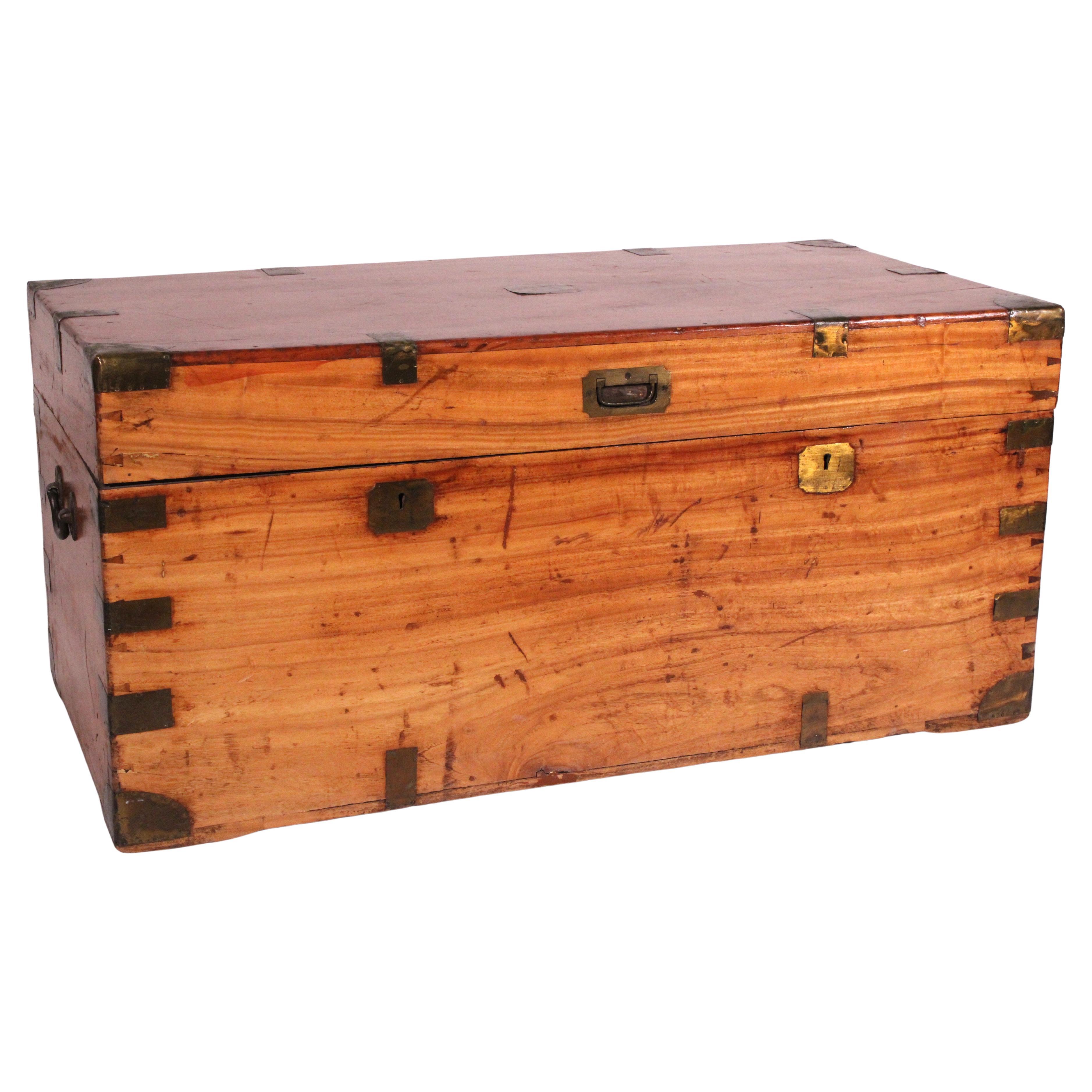 English Camphor Wood Campaign Trunk