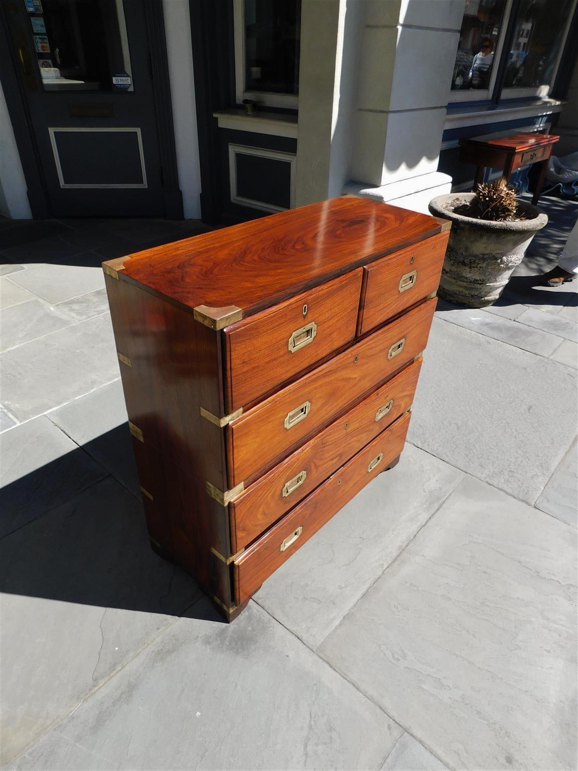 Hand-Carved English Camphor Wood Military Campaign Chest with Recessed Brasses, C. 1820 For Sale