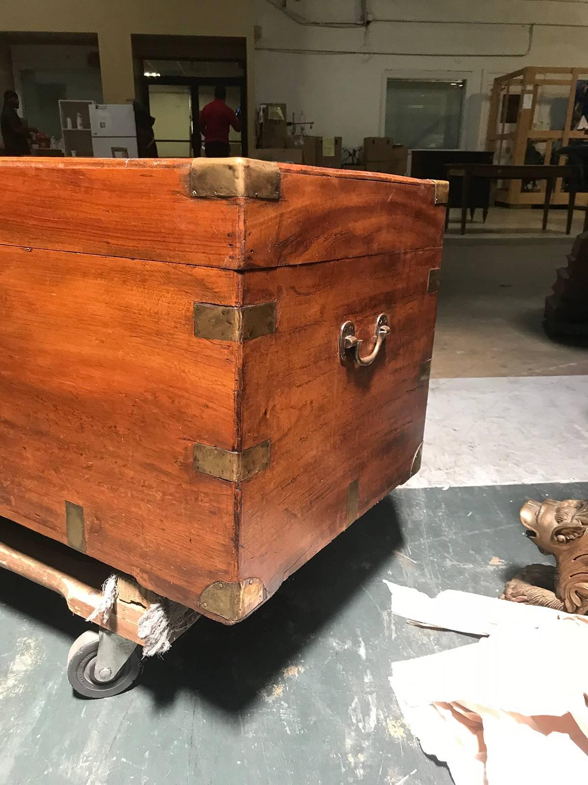 English Camphor Wood Trunk, circa 1840 2