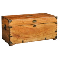 Antique English Camphor Wood Trunk with Brass Accents and Lateral Handles, circa 1880