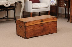 English Camphor Wood Trunk with brass mounts and handles, 19th Century