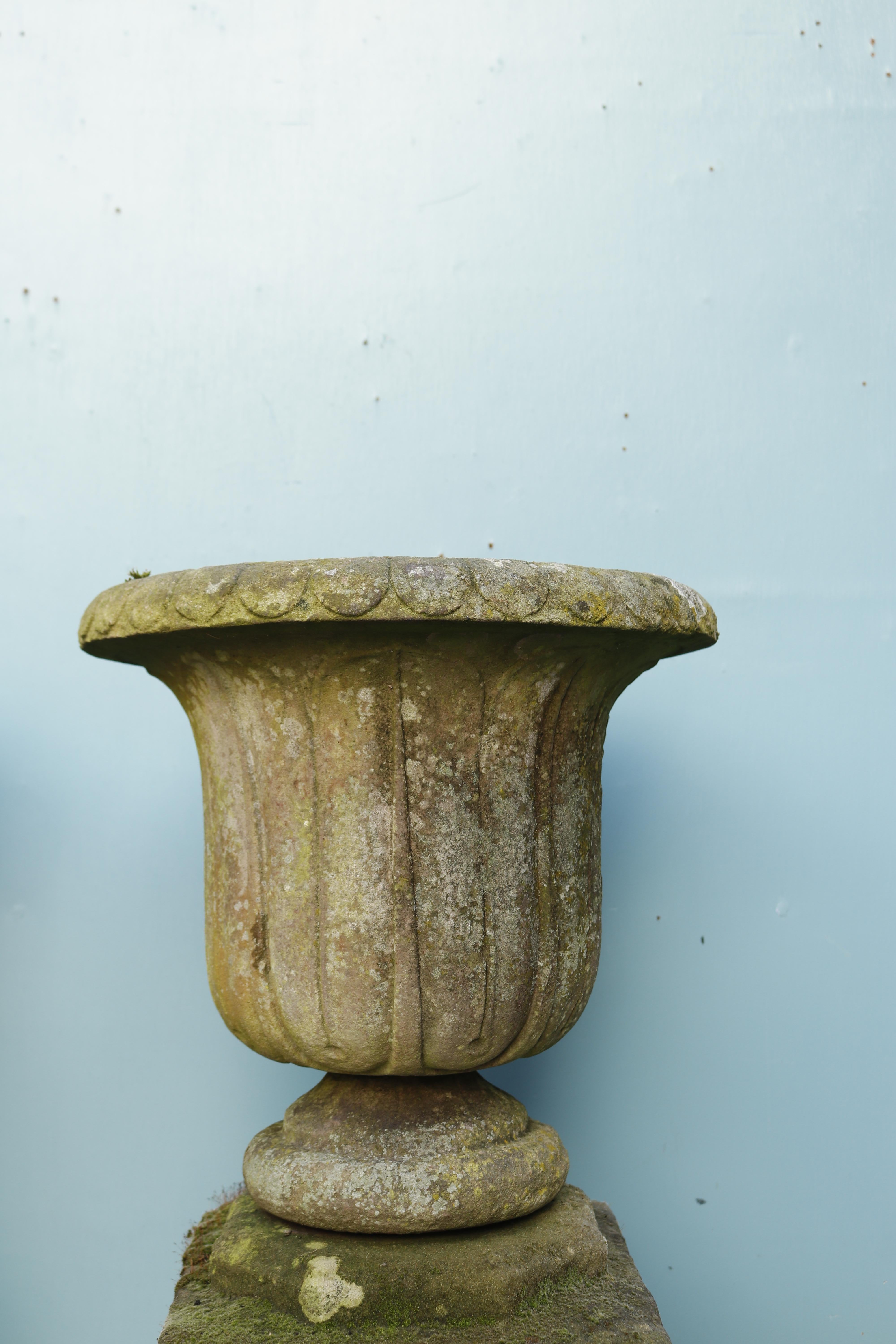 Pair of English carved sandstone urns. Two wonderful Tulip shaped planters. The sandstone has a lovely weathered finish. They would excellently display an array of plants while sustaining their grand appearance.

Additional dimensions 

Height