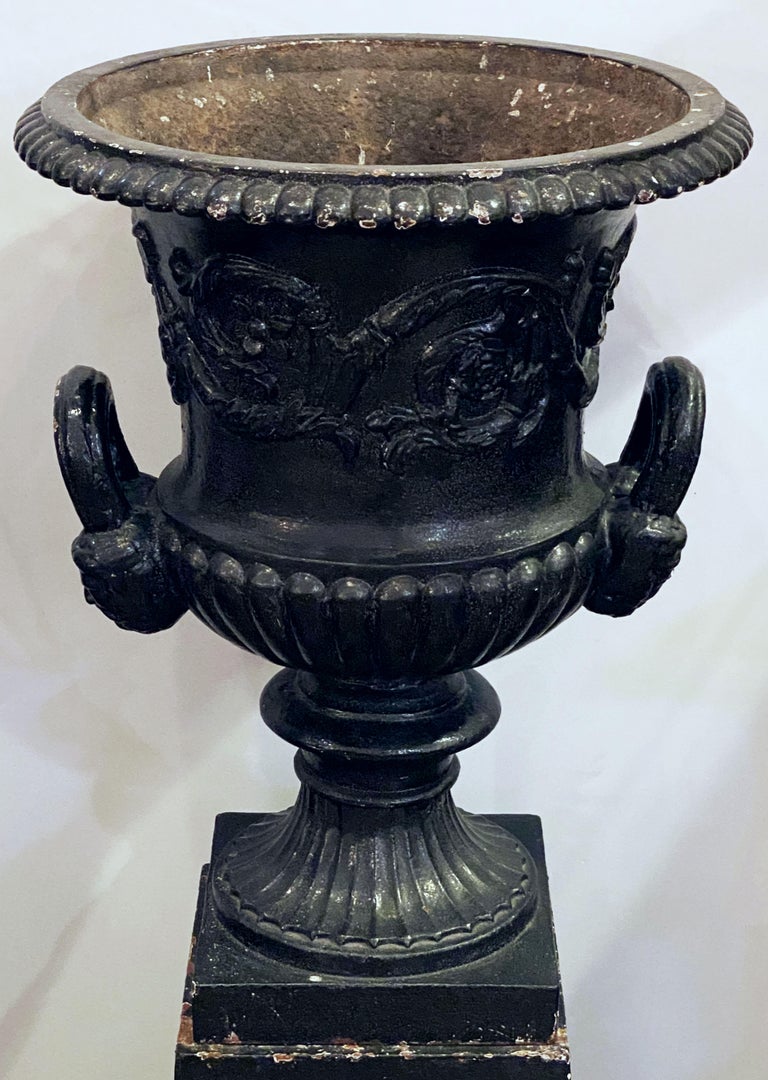 English Cast Iron Urns on Plinths from the Regency Era, Individually