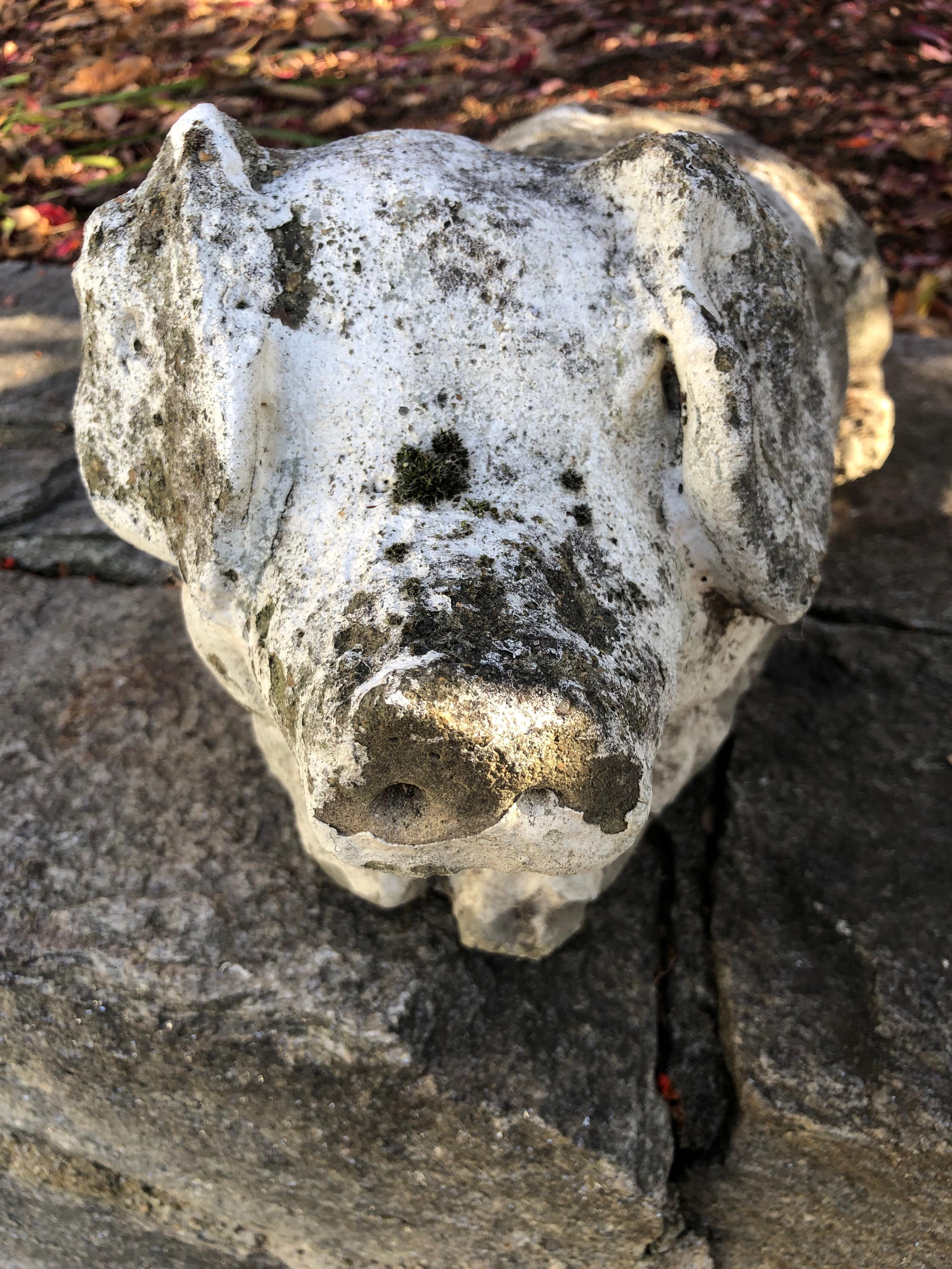 English Cast Stone Pig with Traces of Old White Paint 2