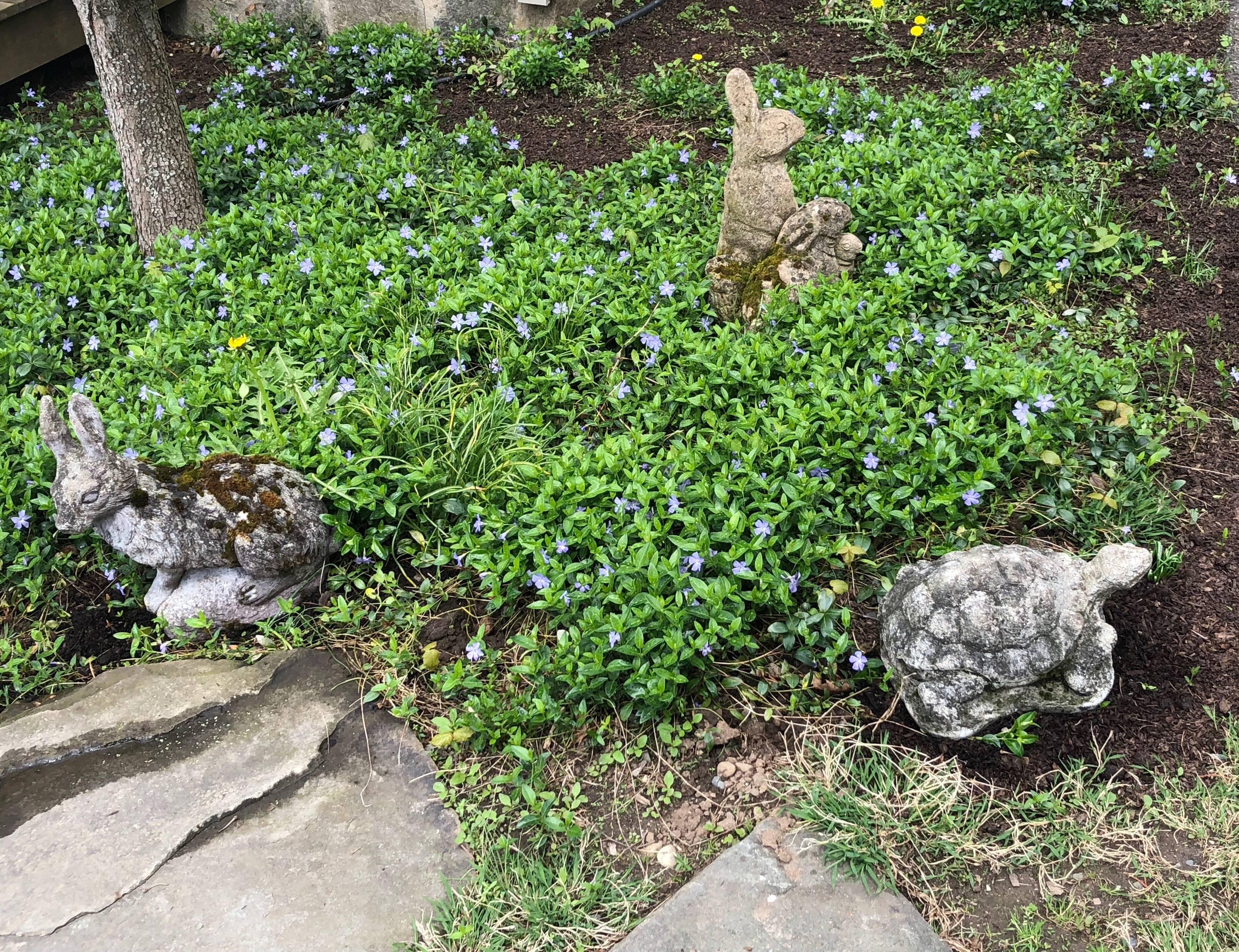 English Cast Stone Rabbit Family 7