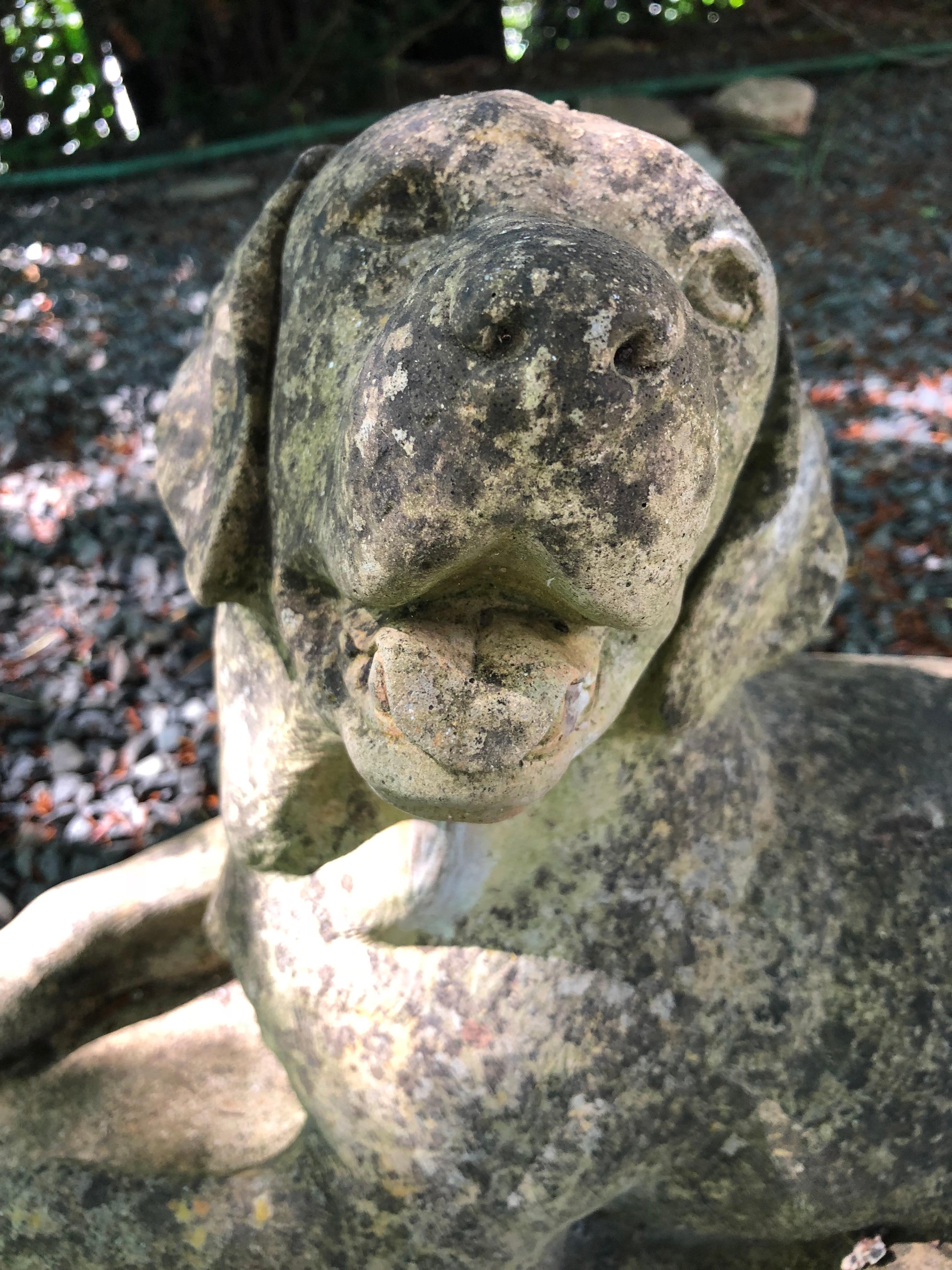 English Cast Stone Statue of a Recumbent Labrador Puppy 3