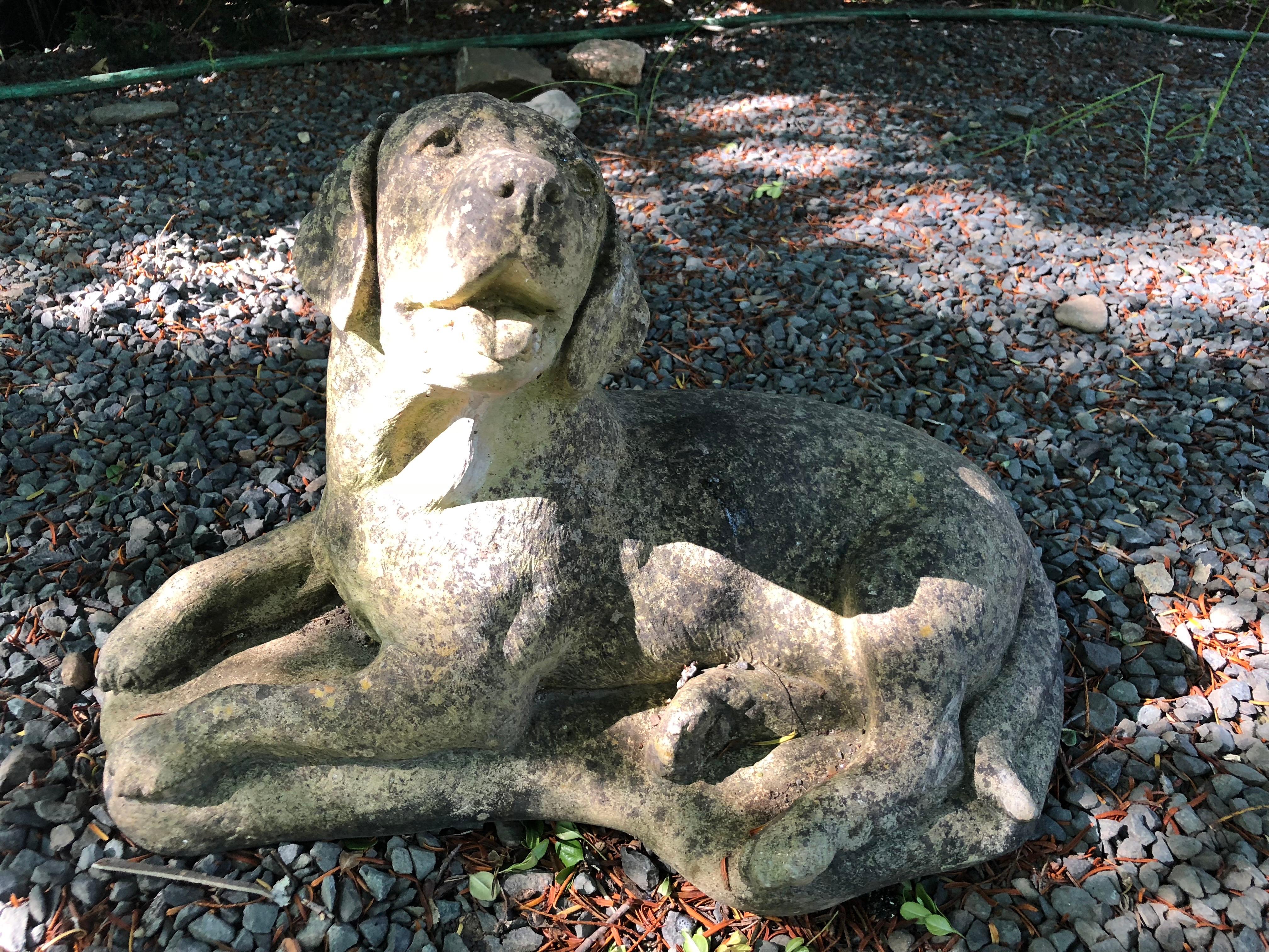 English Cast Stone Statue of a Recumbent Labrador Puppy 4