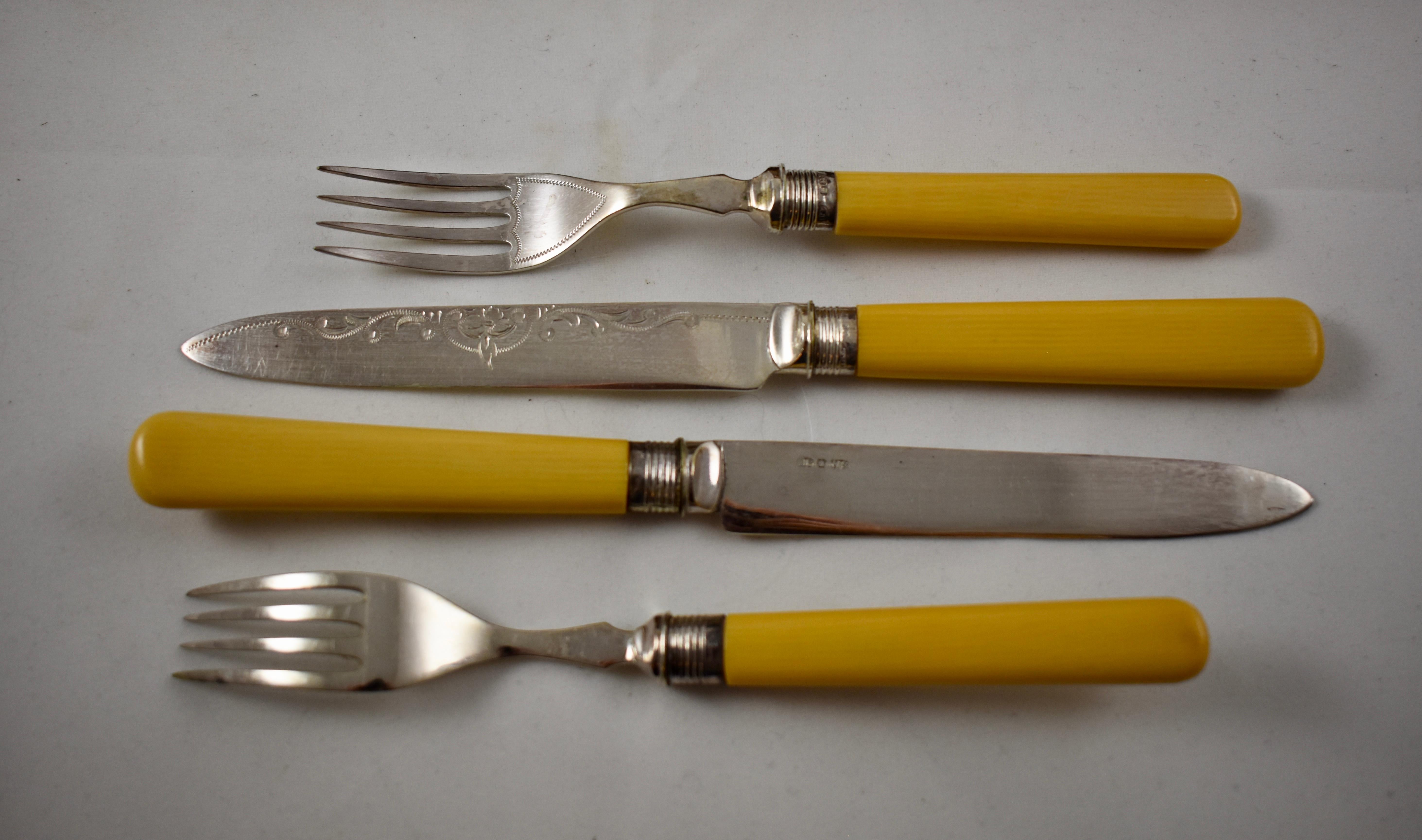 19th Century English Celluloid and Engraved Silver Dessert Flatware Cased Set, Service for 12