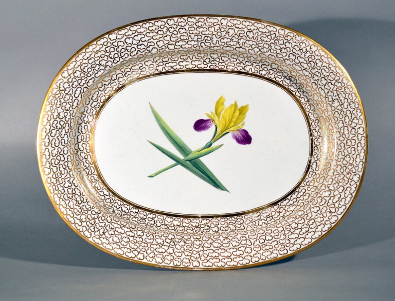 19th Century English Chamberlain Worcester Porcelain Large Botanical Specimen Oval Dish For Sale