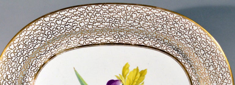 English Chamberlain Worcester Porcelain Large Botanical Specimen Oval Dish For Sale 4