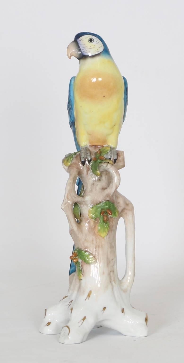 chelsea house parrots