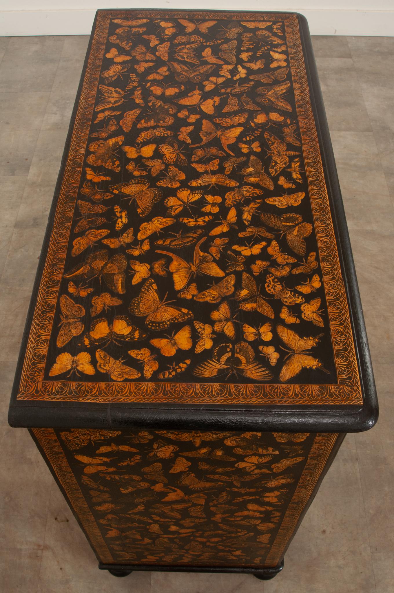 19th Century English Chest with Butterfly and Moth Decoupage