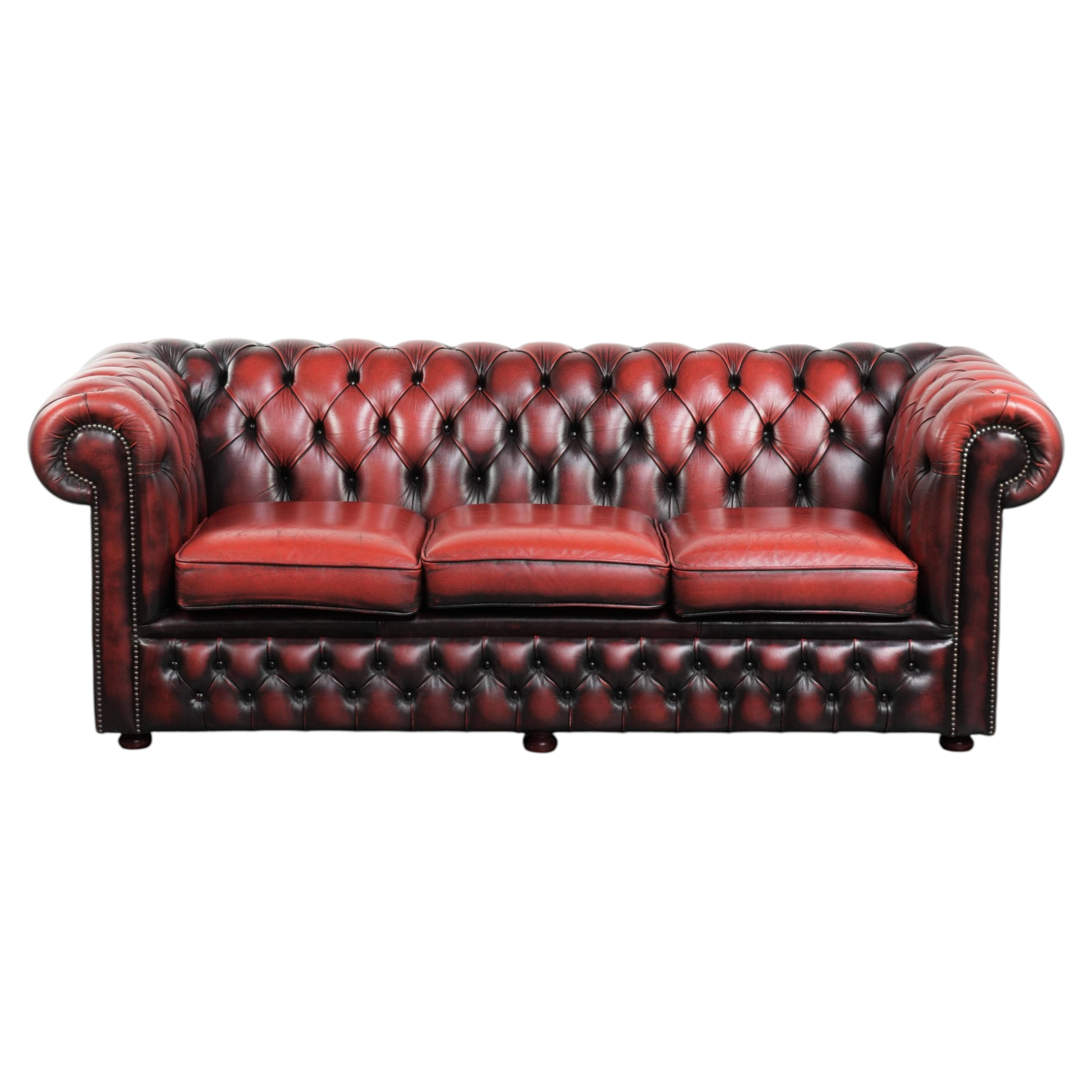 English chesterfield 2.5/3 seater sofa made of cowhide leather in red