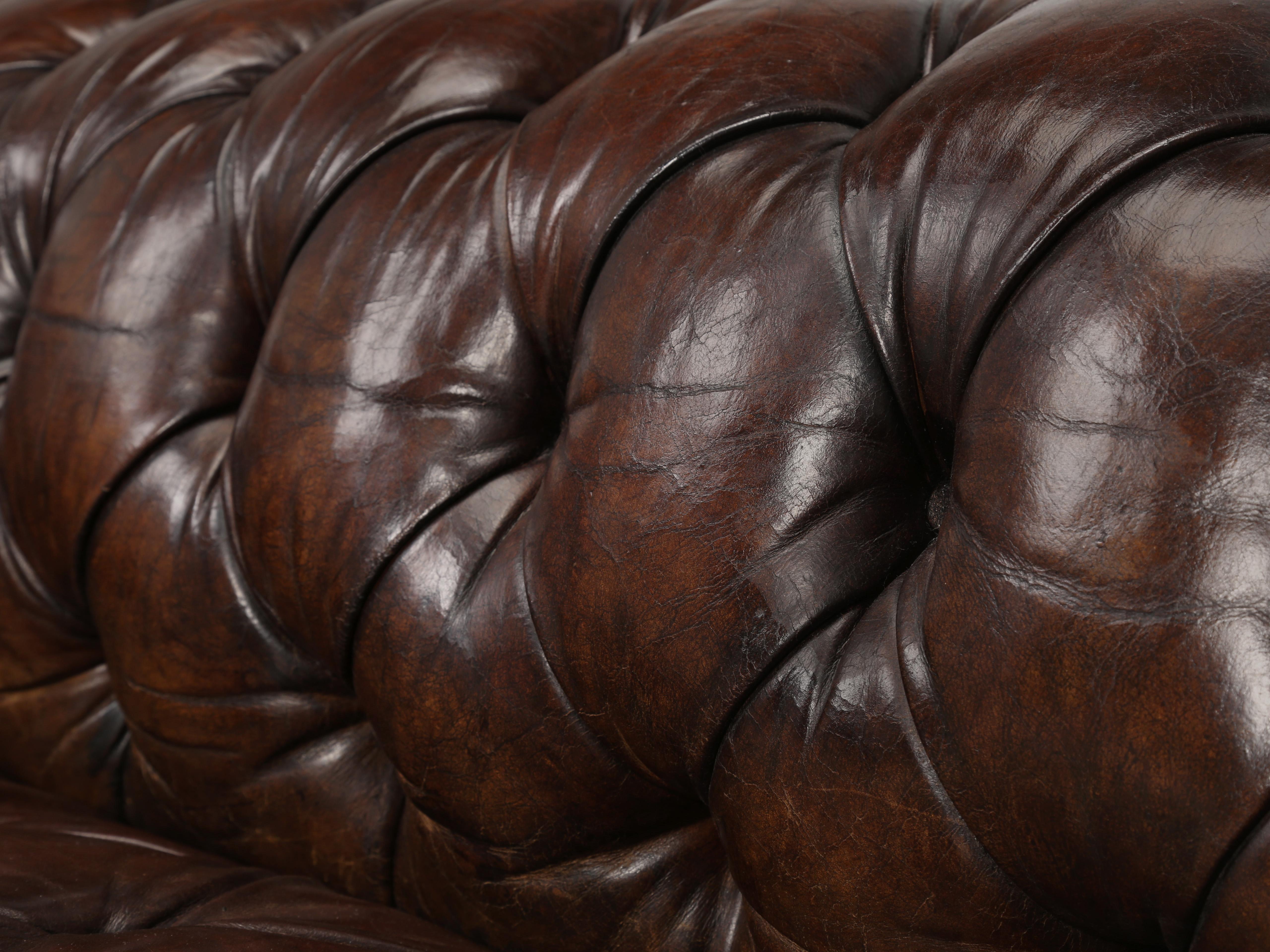 English Chesterfield Leather Sofa Lion Paw Feet Properly and Thoroughly Restored 3