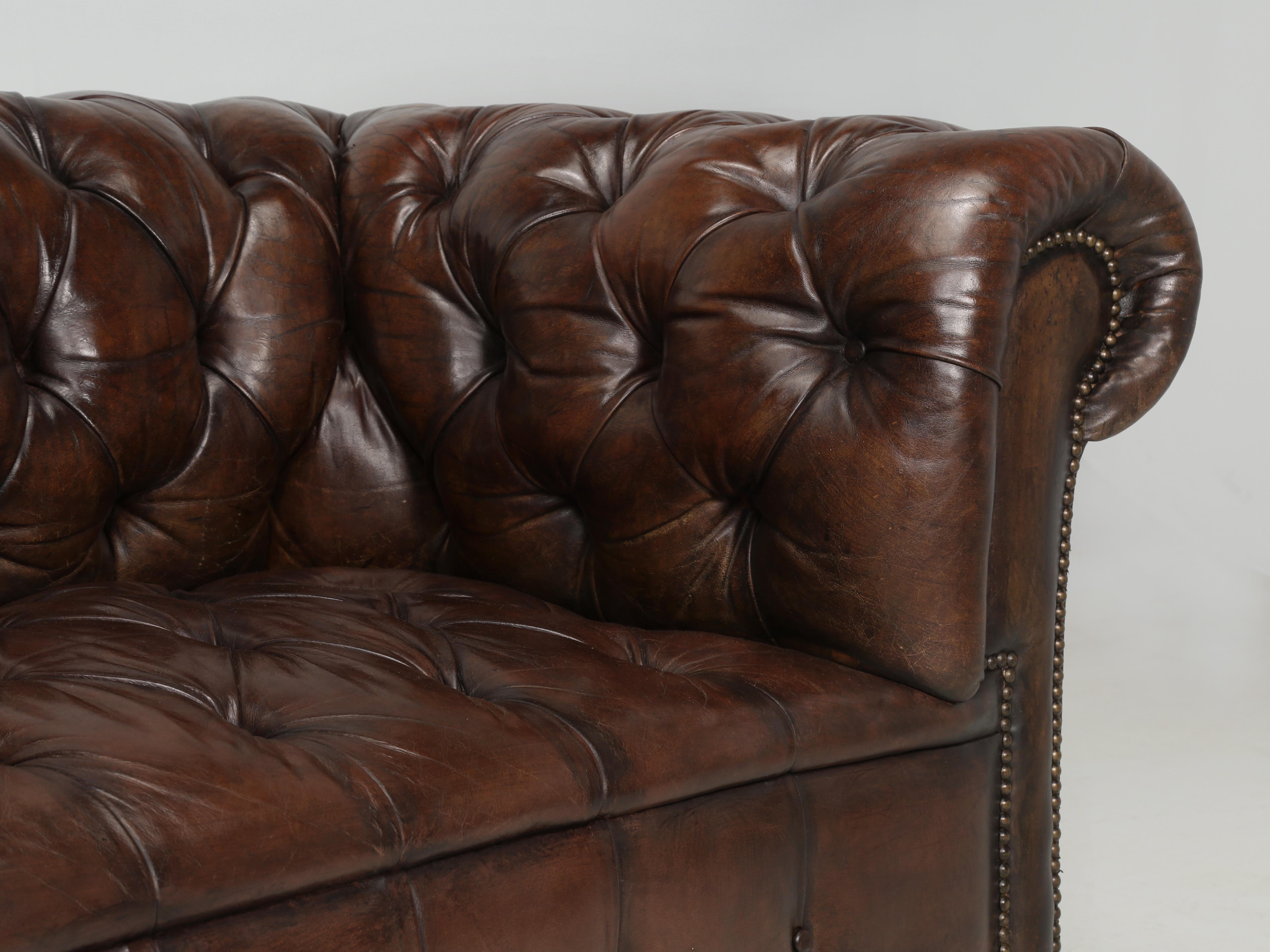 English Chesterfield Leather Sofa Lion Paw Feet Properly and Thoroughly Restored 4
