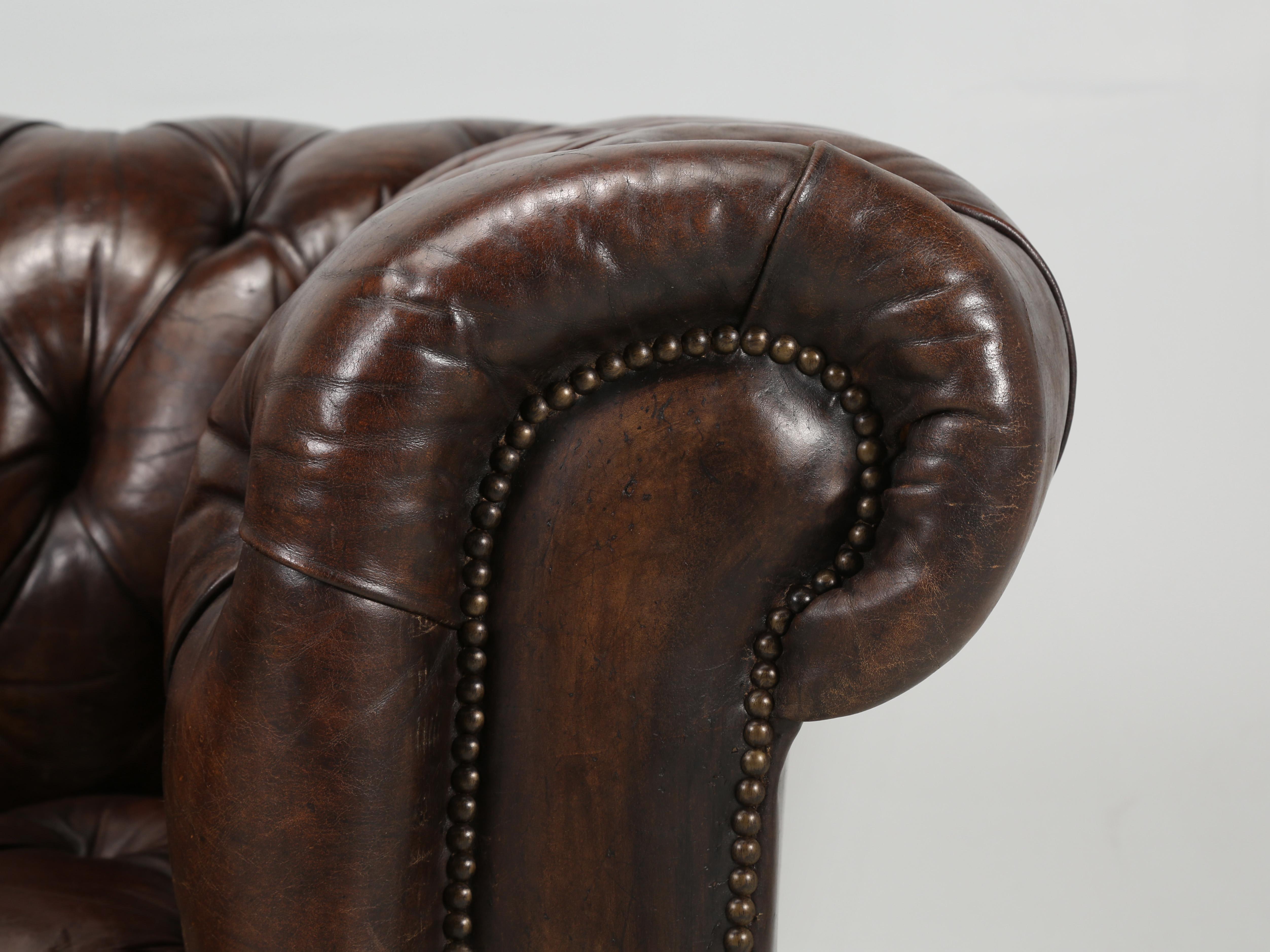 English Chesterfield Leather Sofa Lion Paw Feet Properly and Thoroughly Restored 5