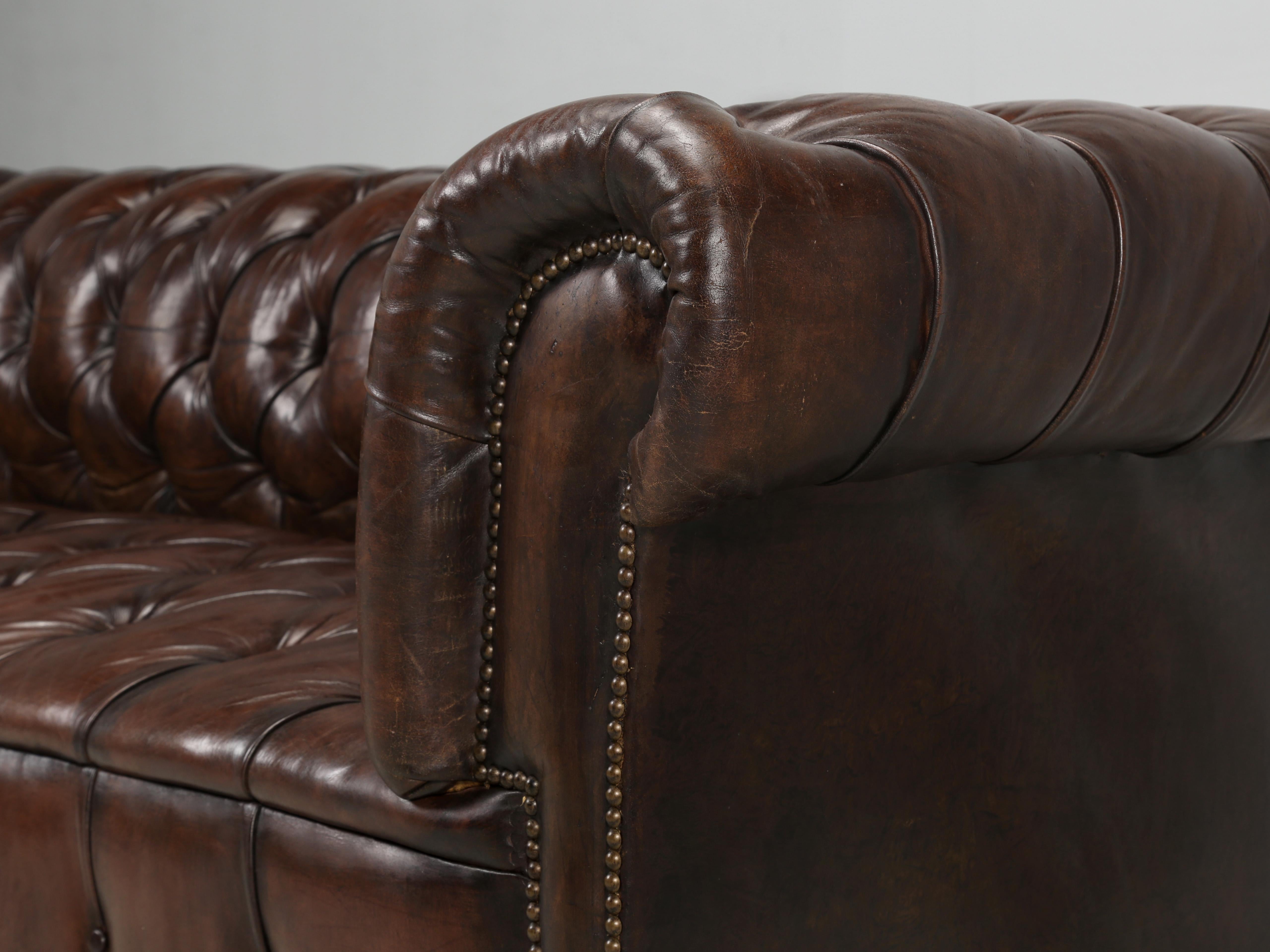 English Chesterfield Leather Sofa Lion Paw Feet Properly and Thoroughly Restored 6