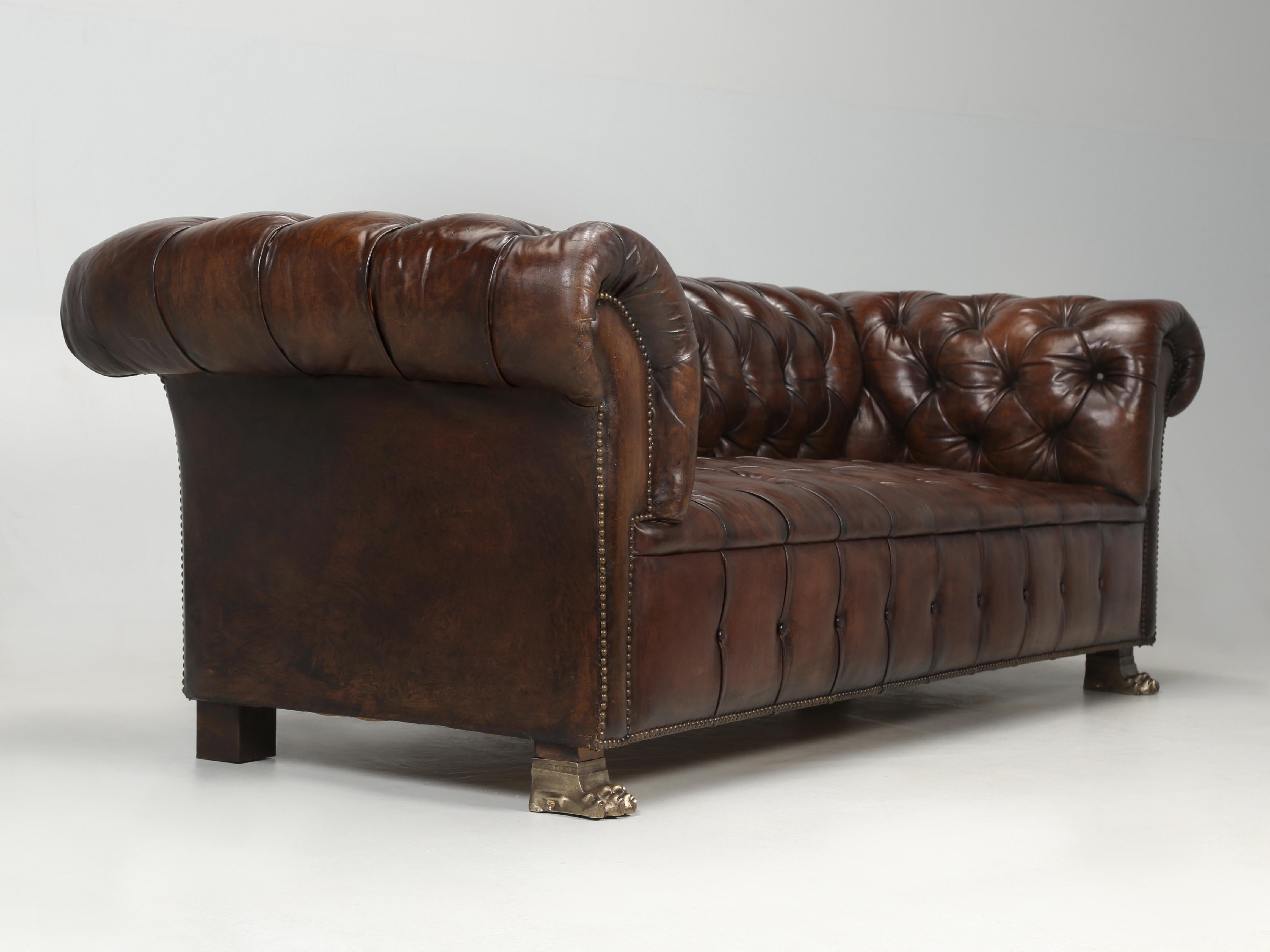 English Chesterfield Leather Sofa Lion Paw Feet Properly and Thoroughly Restored 11