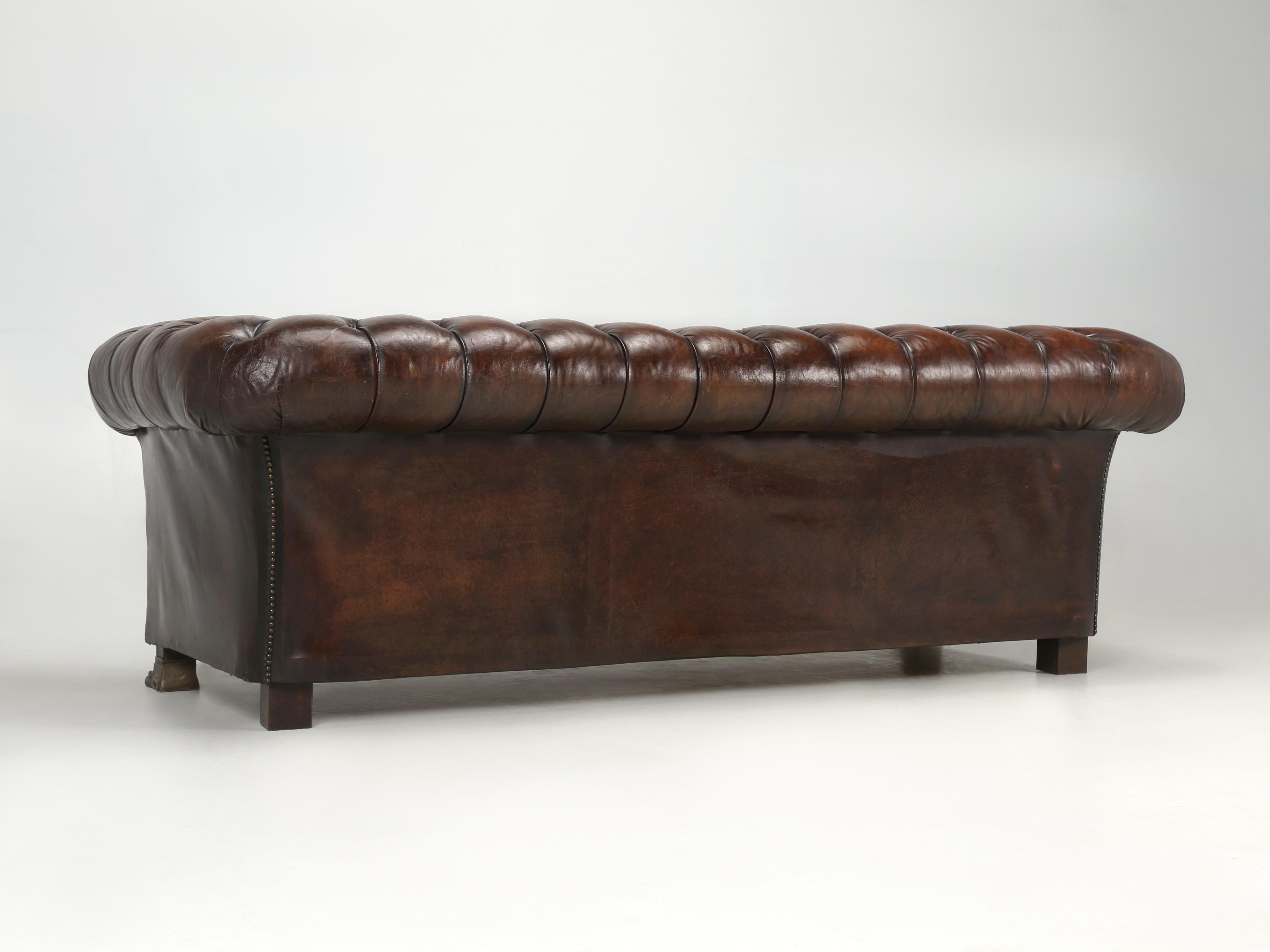 English Chesterfield Leather Sofa Lion Paw Feet Properly and Thoroughly Restored 12