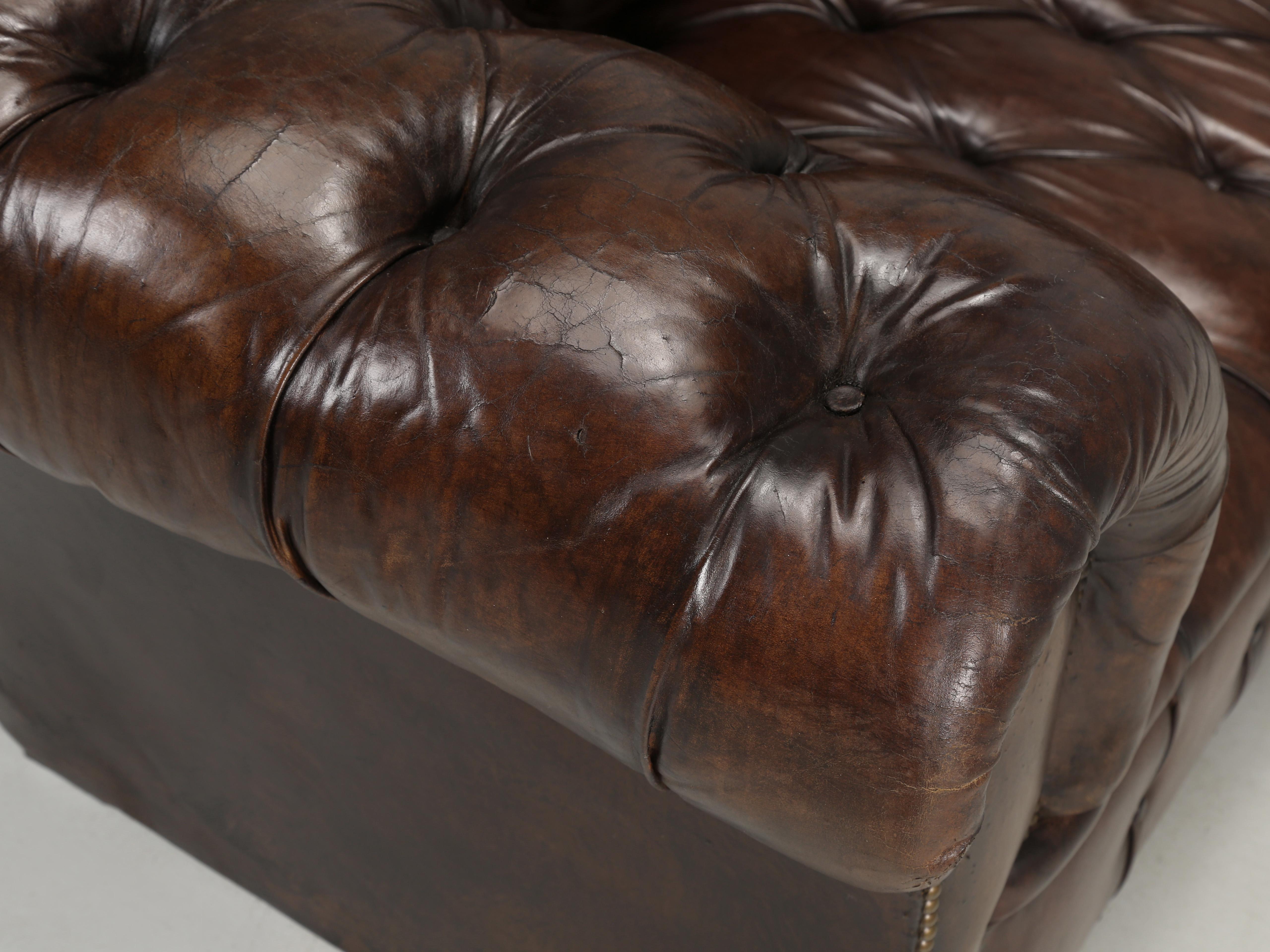 Brass English Chesterfield Leather Sofa Lion Paw Feet Properly and Thoroughly Restored