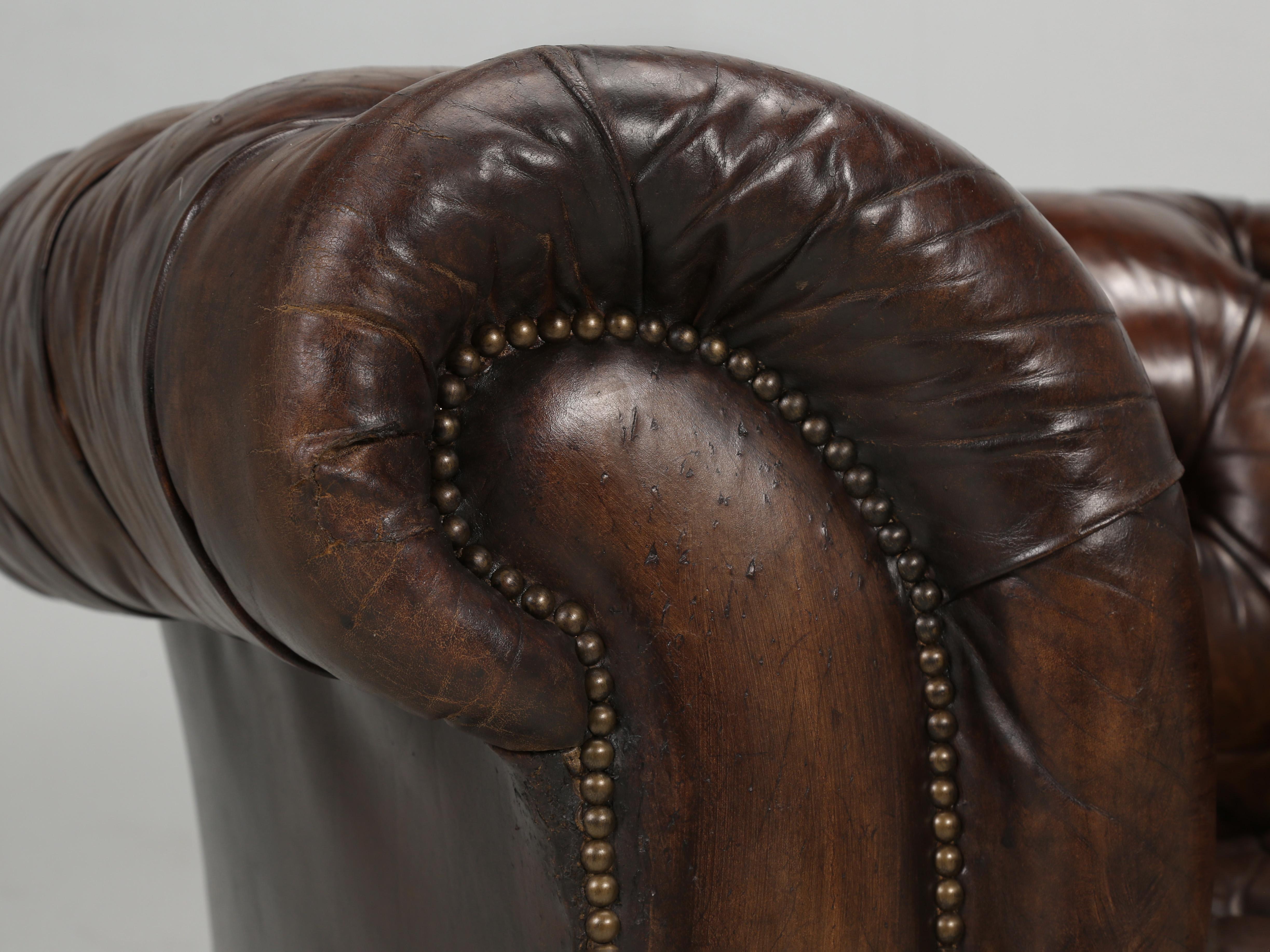 English Chesterfield Leather Sofa Lion Paw Feet Properly and Thoroughly Restored 1