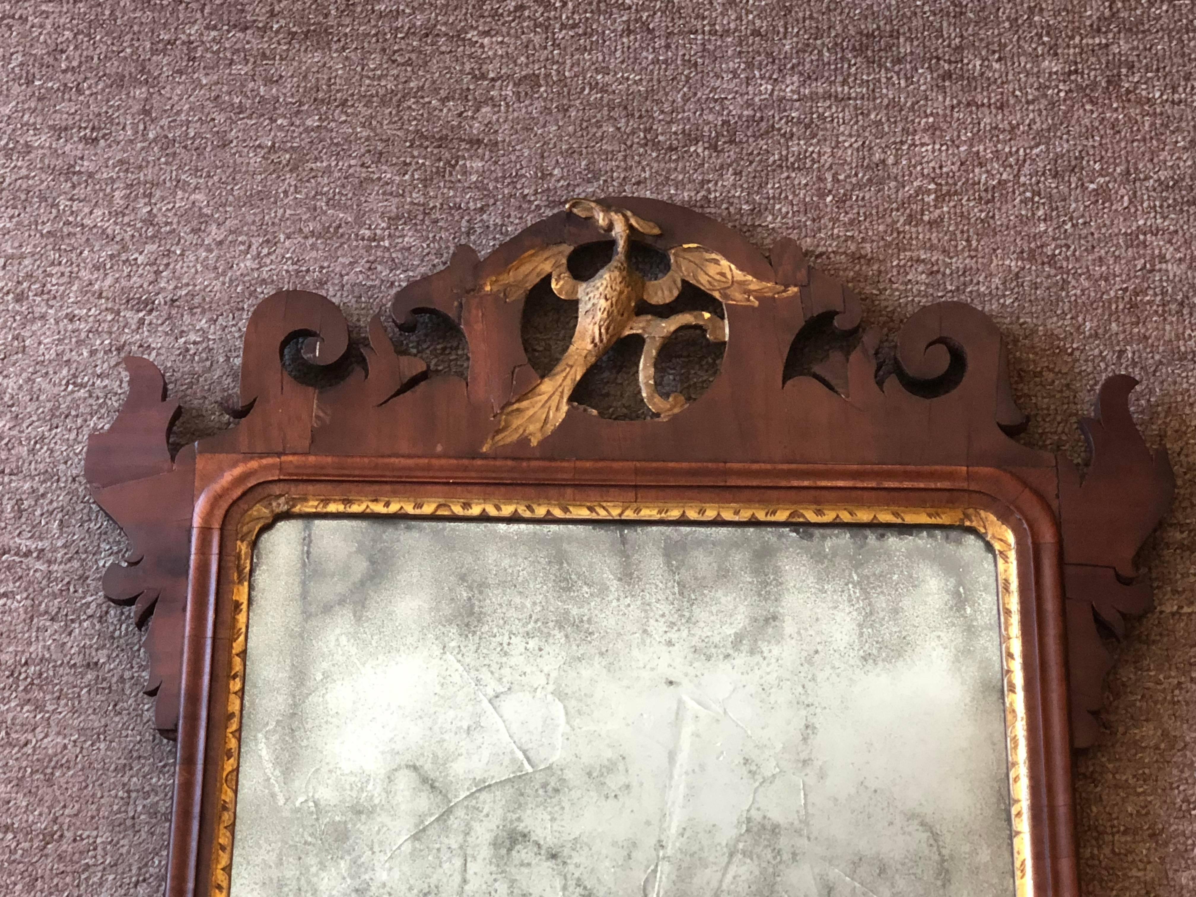 English Chippendale mirror with carved phoenix crest, giltwood, mahogany veneer, original mirrored glass.
 