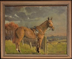 Fine 20th Century British Sporting Art Oil Painting Equestrian Portrait of Horse