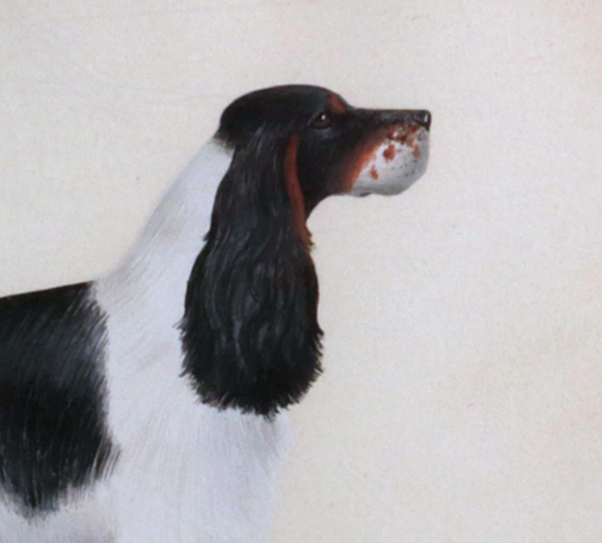 English Cocker Spaniel Watercolor and Gouache Pictures- A Set of Six 3