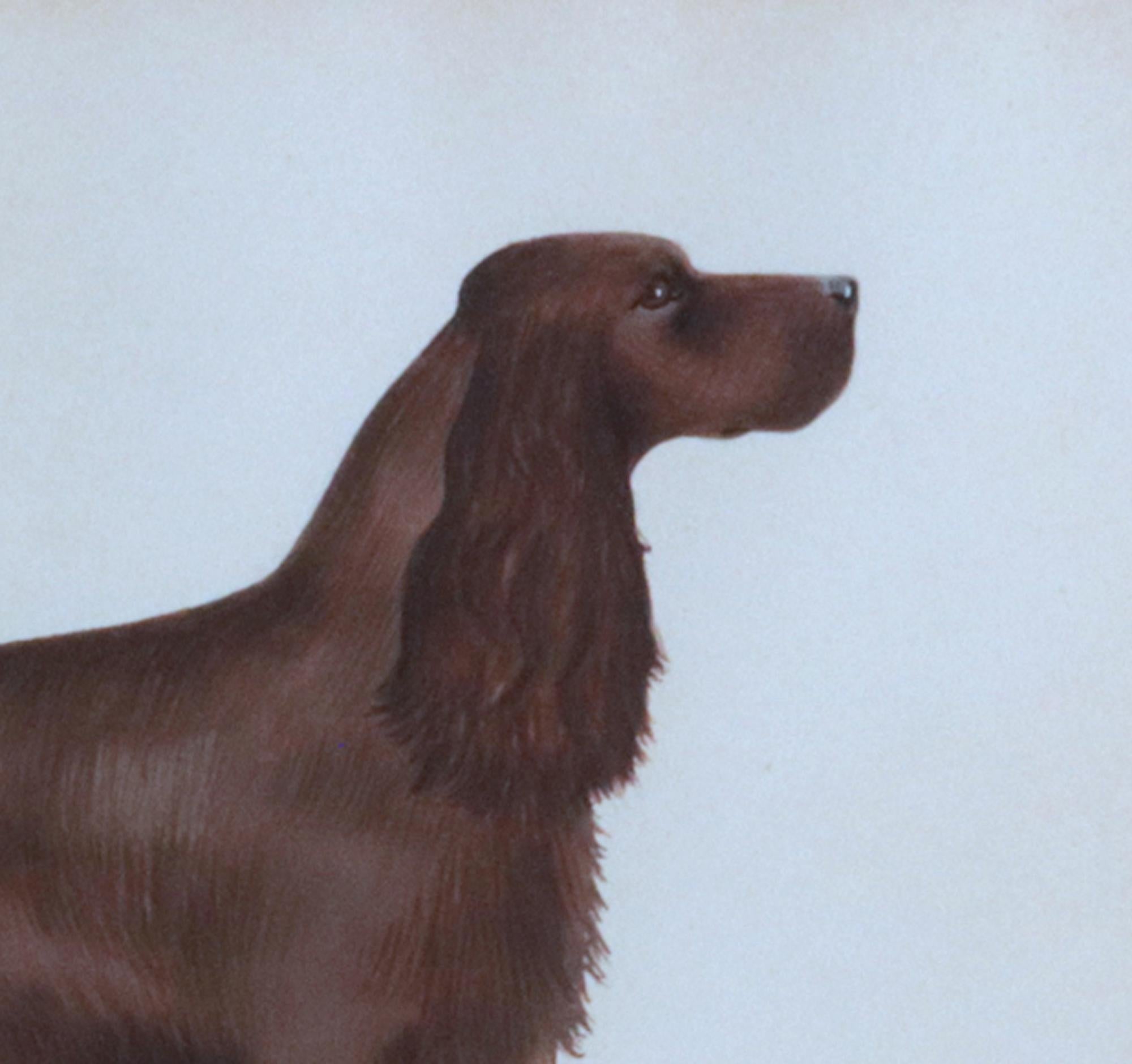 English Cocker Spaniel Watercolor and Gouache Pictures- A Set of Six 4