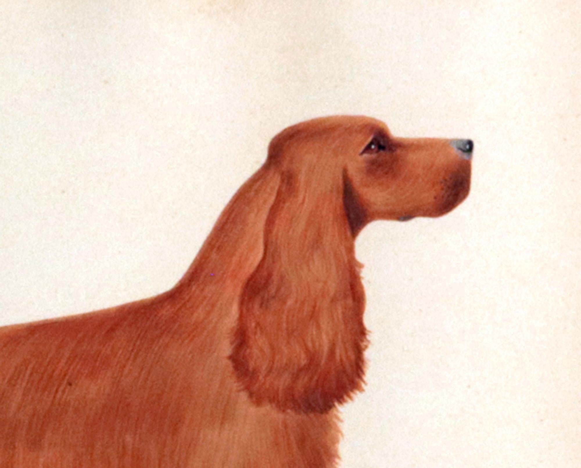 English Cocker Spaniel Watercolor and Gouache Pictures- A Set of Six 5
