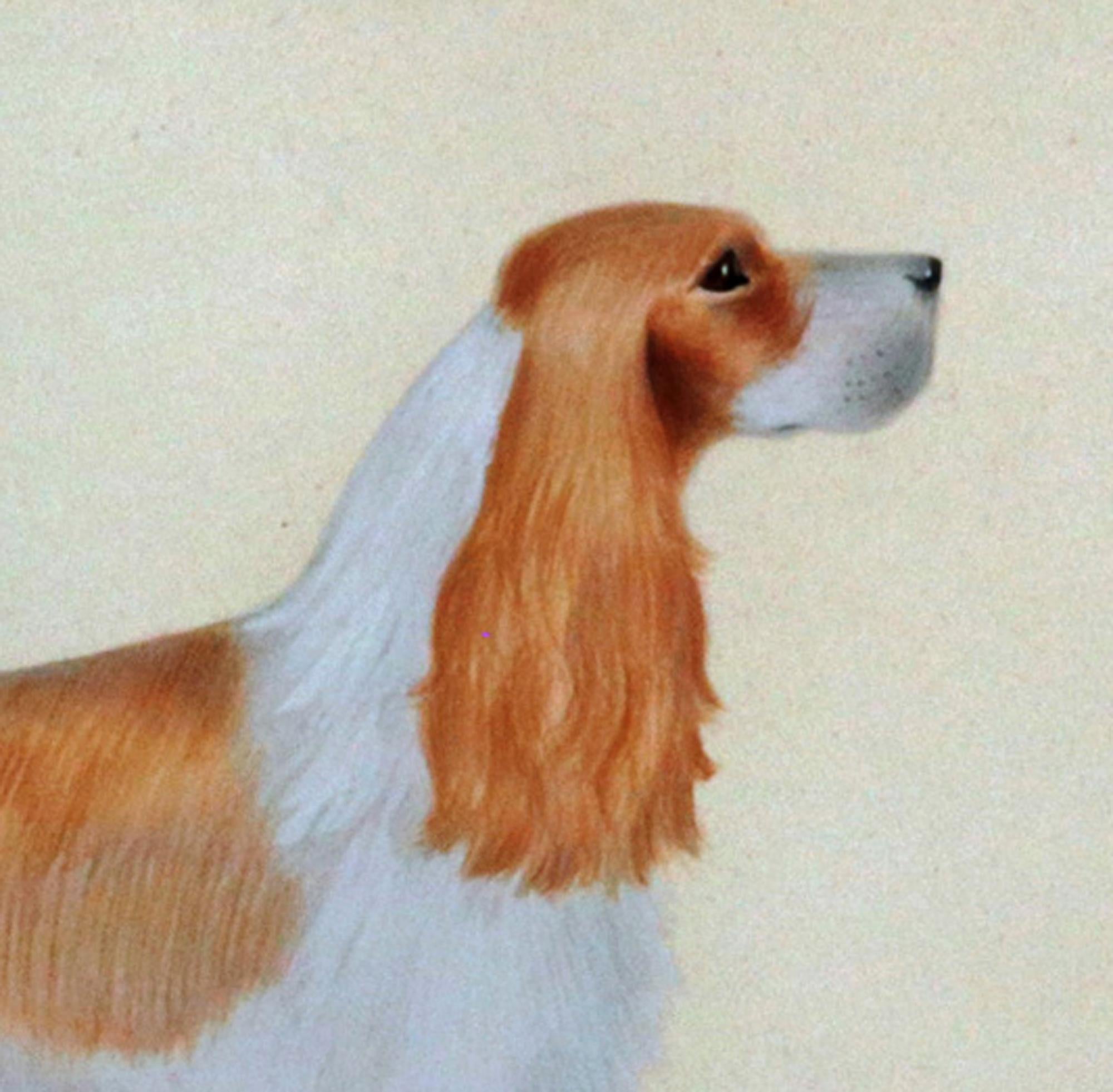 English Cocker Spaniel Watercolor and Gouache Pictures- A Set of Six 6