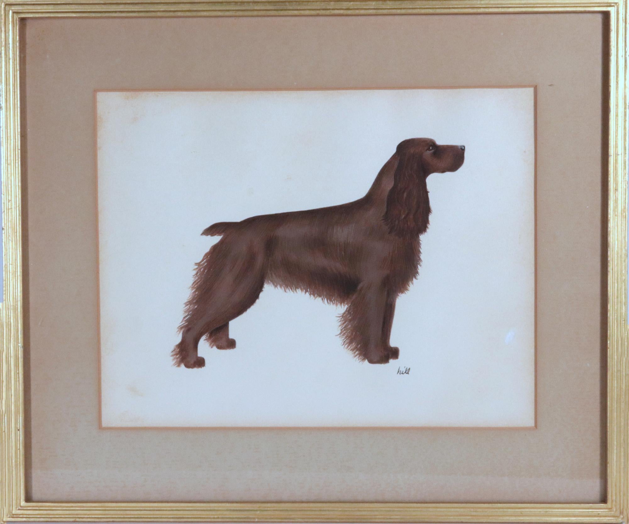 American English Cocker Spaniel Watercolor and Gouache Pictures- A Set of Six