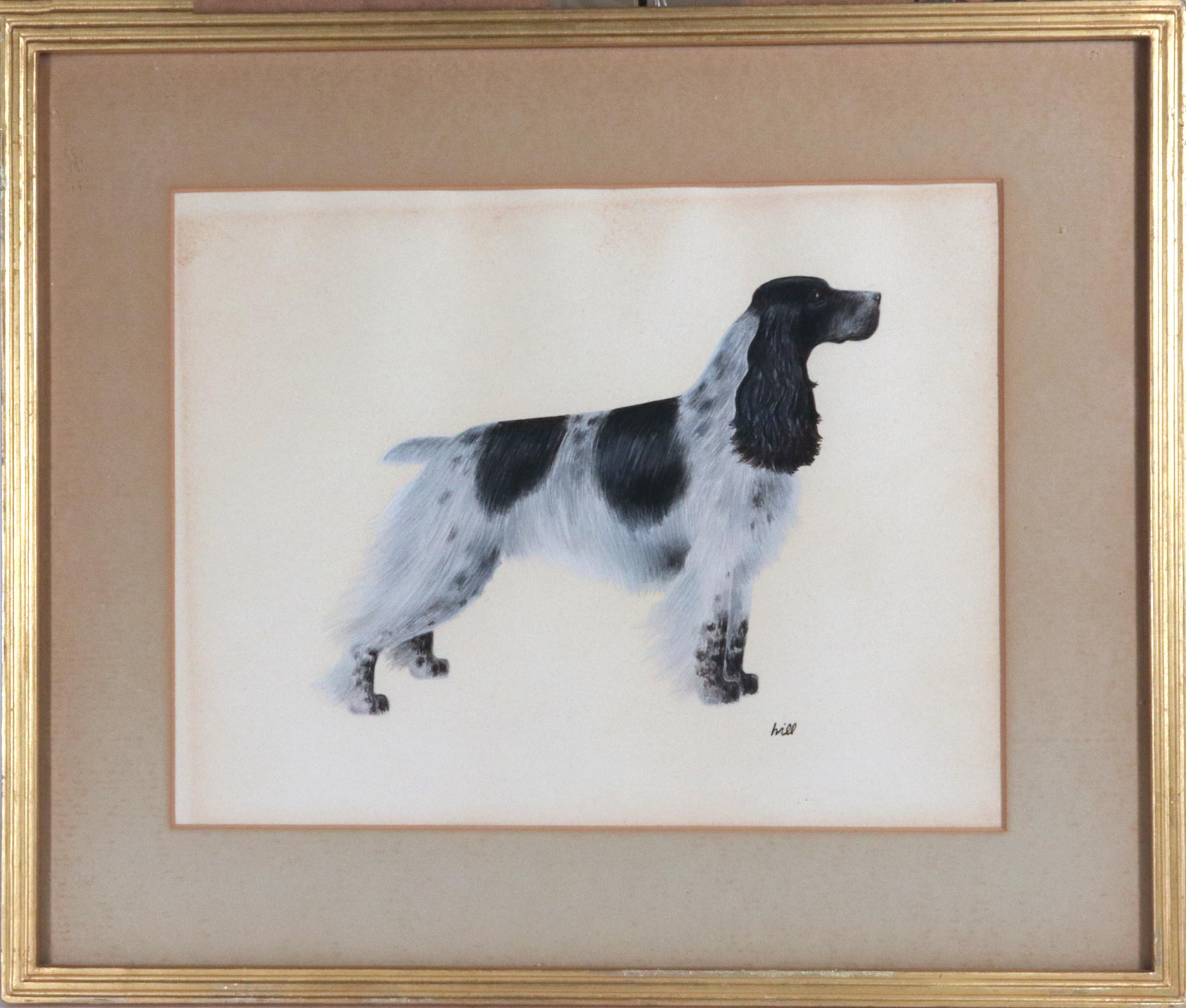 Paint English Cocker Spaniel Watercolor and Gouache Pictures- A Set of Six