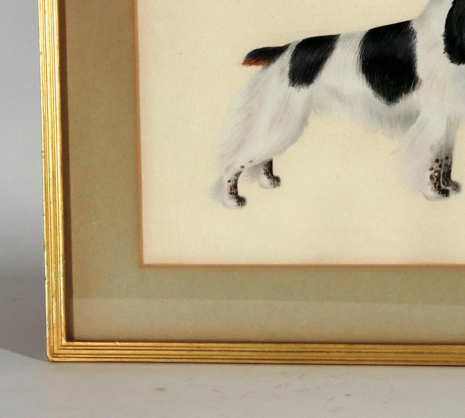 English Cocker Spaniel Watercolor and Gouache Pictures- A Set of Six 1
