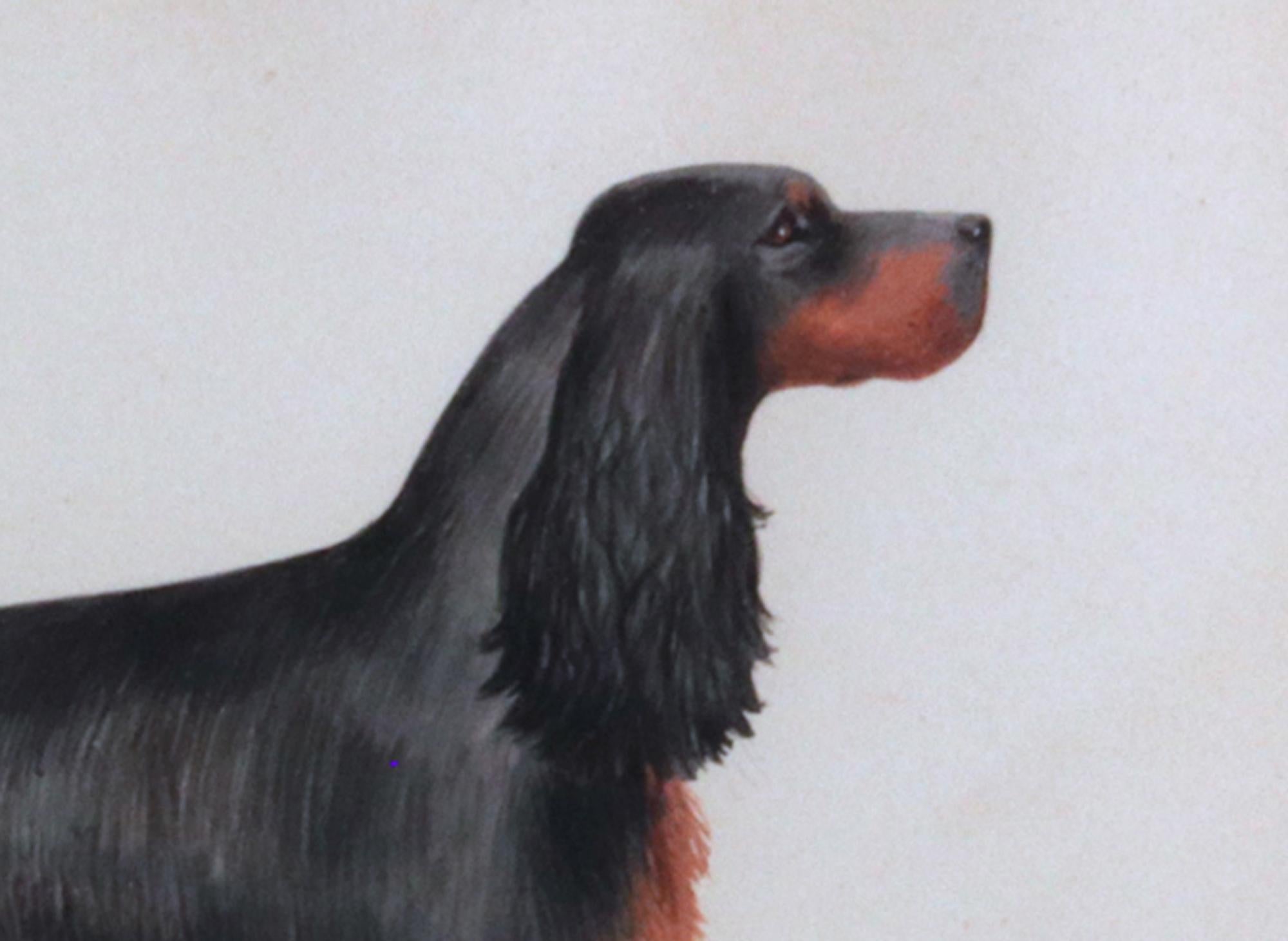 English Cocker Spaniel Watercolor and Gouache Pictures- A Set of Six 2