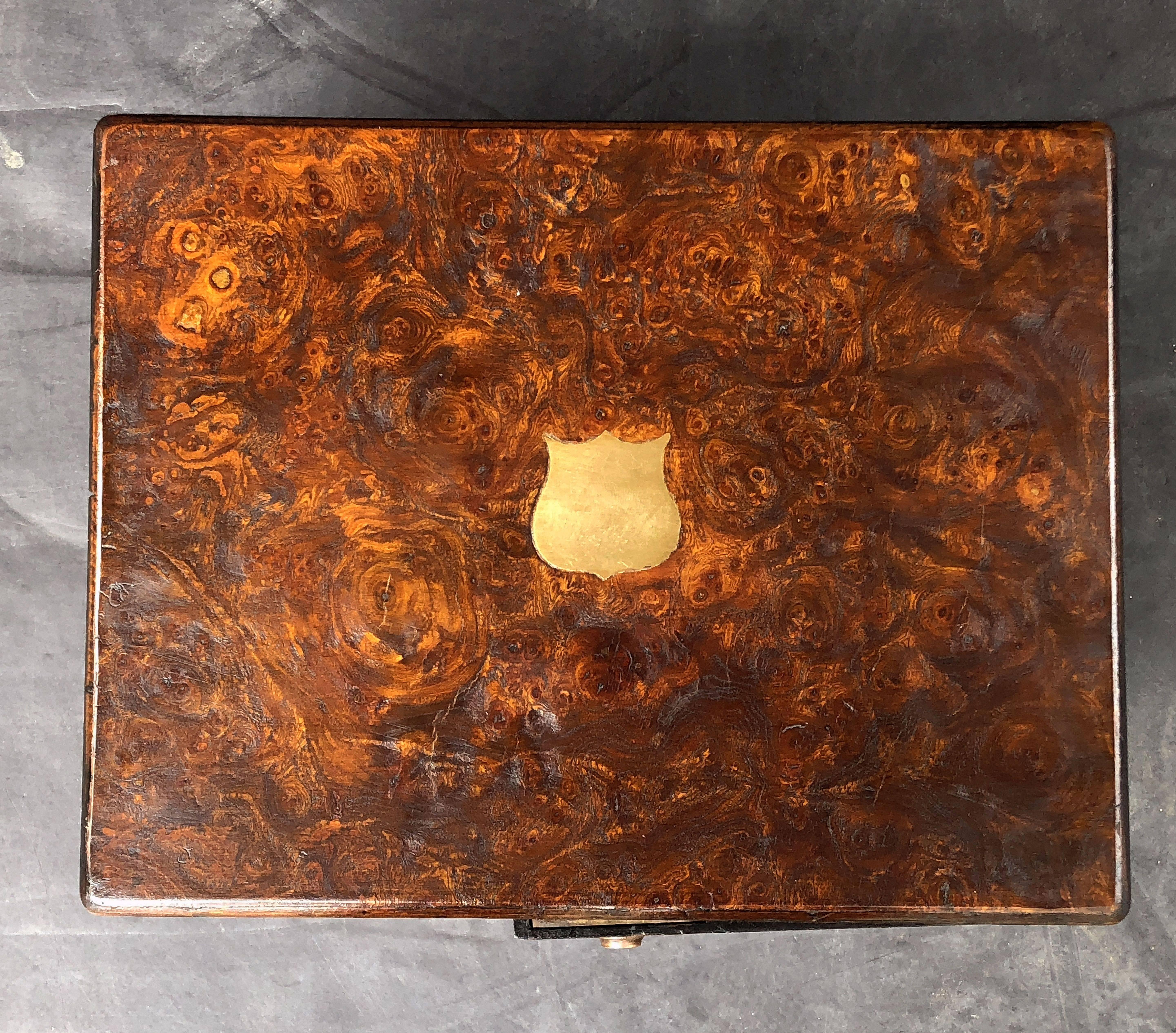 English Collector's Cabinet Box of Brass-Bound Burr Walnut 6