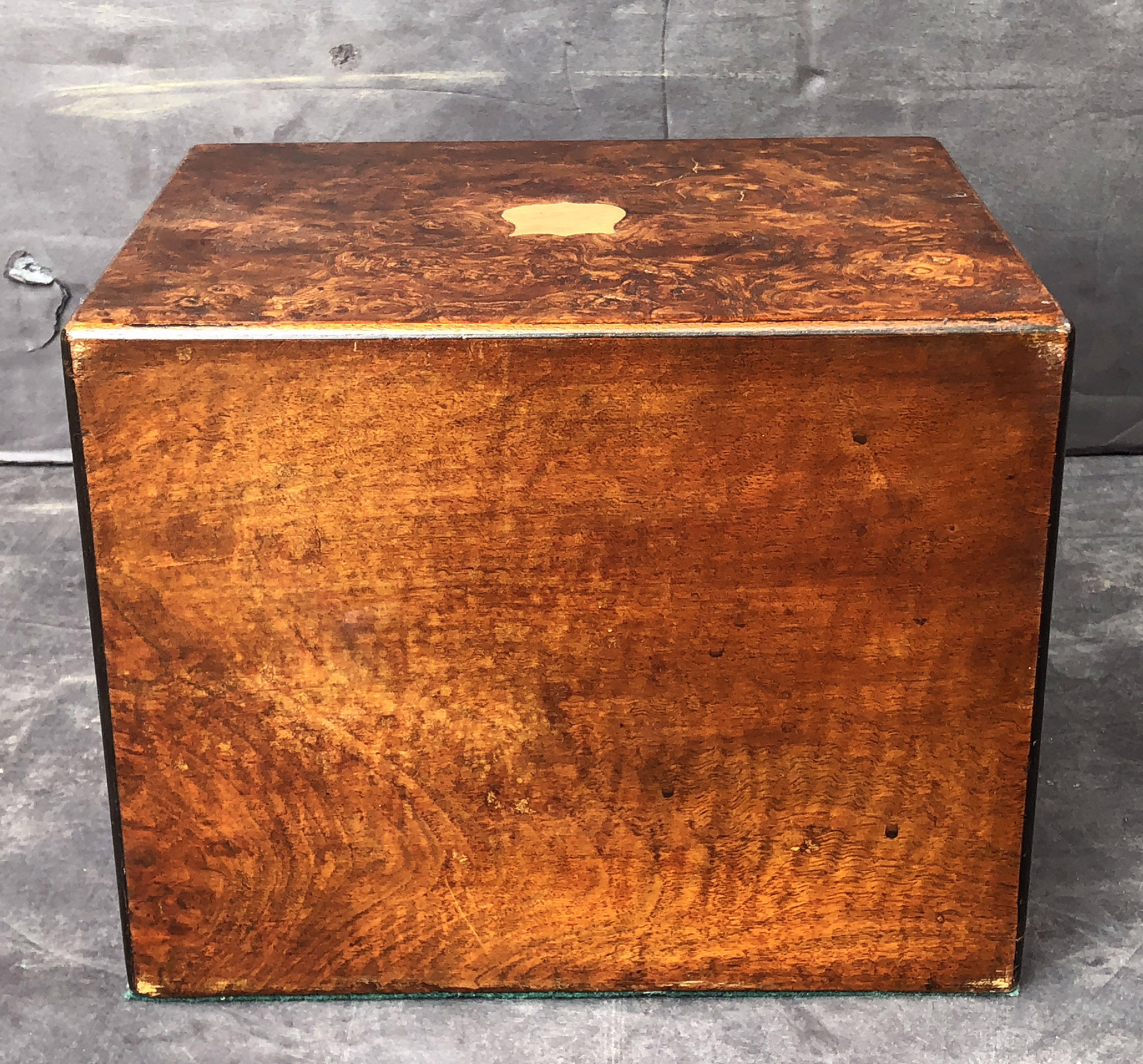 English Collector's Cabinet Box of Brass-Bound Burr Walnut 5